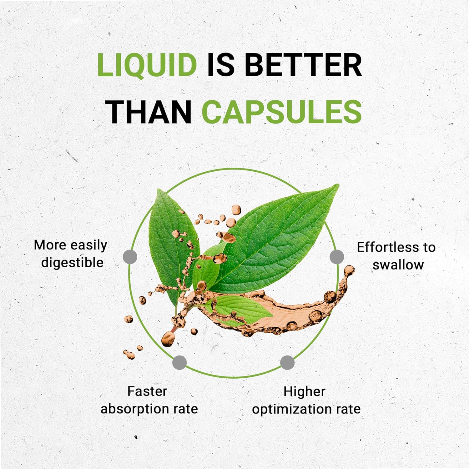 Organic Bacopa Extract Drops - High-Potency Alcohol-Free Herbal Supplement from Certified Bacopa Monnieri Herb