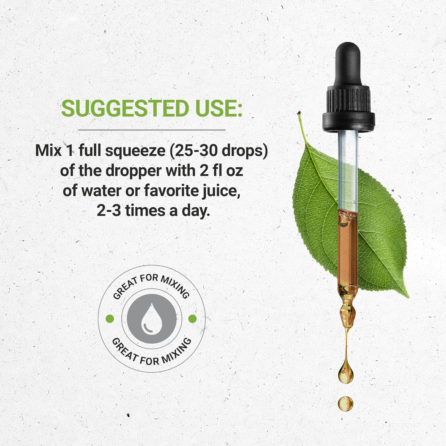 Organic Bacopa Extract Drops - High-Potency Alcohol-Free Herbal Supplement from Certified Bacopa Monnieri Herb