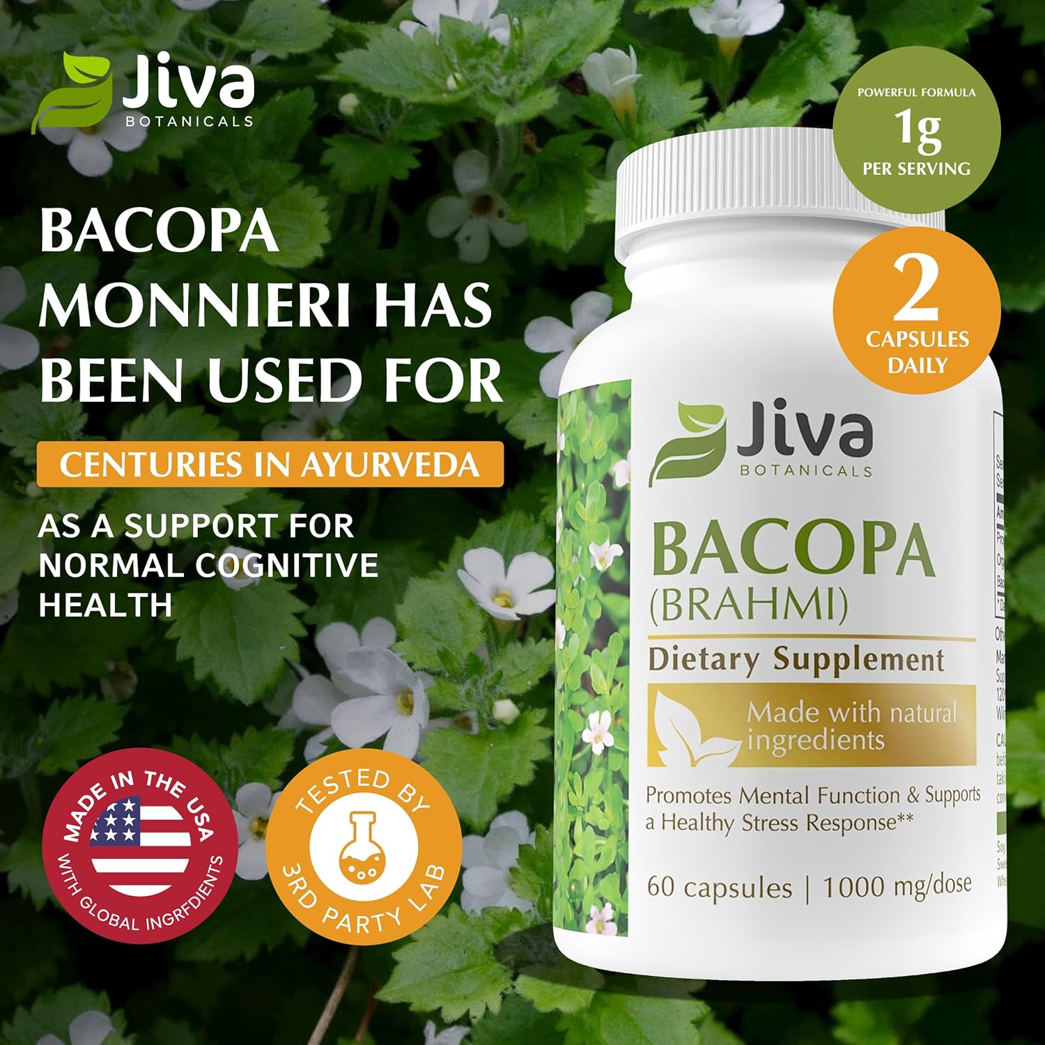 Organic Bacopa Monnieri Capsules - 300mg Bacopa Monnieri Extract - Brain Support Supplement for Focus, Energy, Memory, & Clarity - 60 Capsules