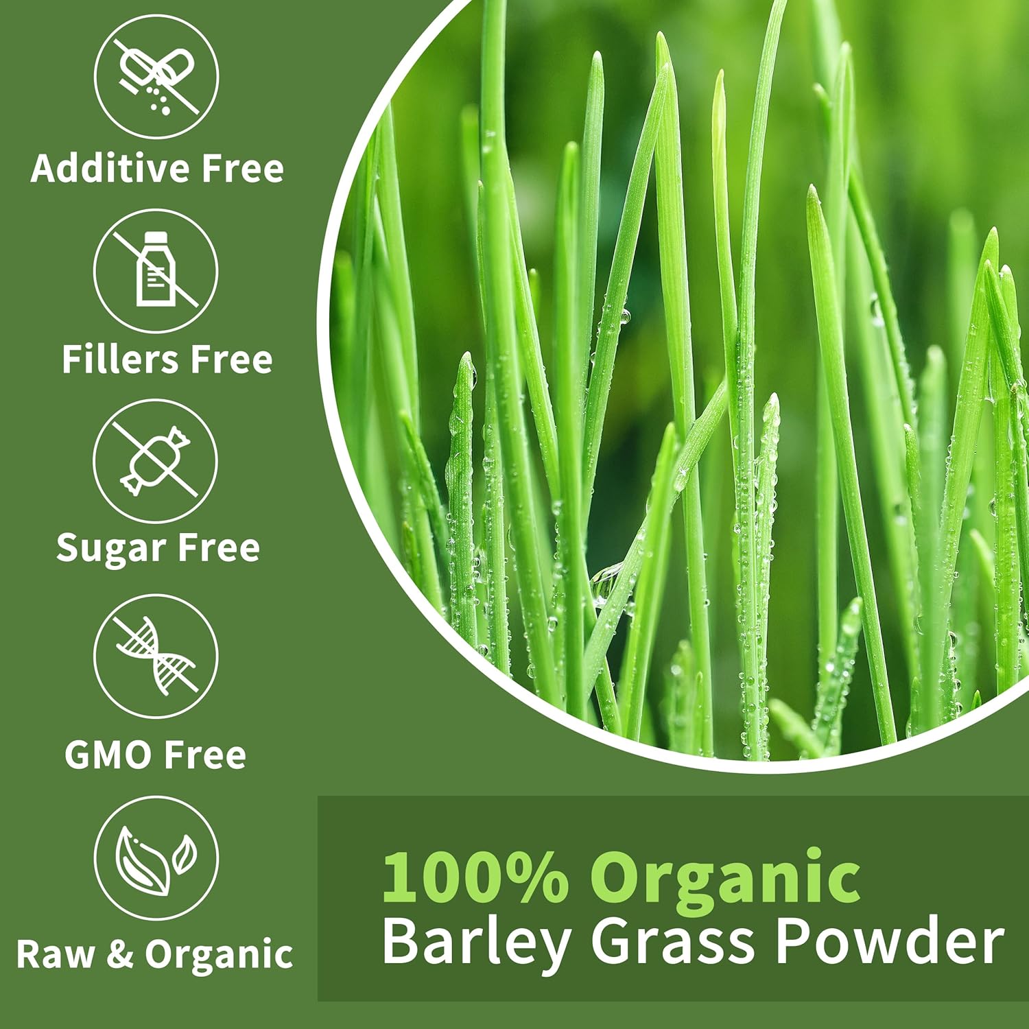 Organic Barley Grass Juice Powder 11 oz - Pure Wheatgrass Powder, Vegan, No Maltodextrin or Sugar - Hudetex