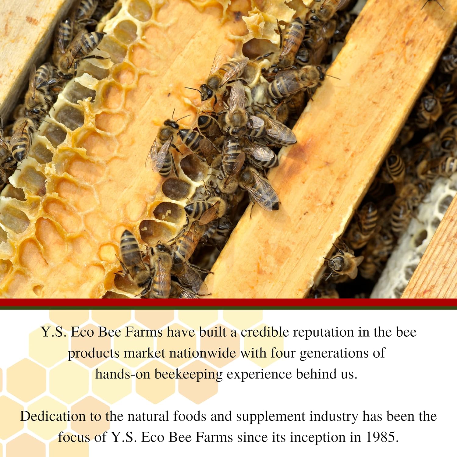 Organic Bee Pollen Supplement with Royal Jelly, Propolis, and Korean Ginseng - 90 Ct - Health and Wellness by Y.S. Eco Bee Farms