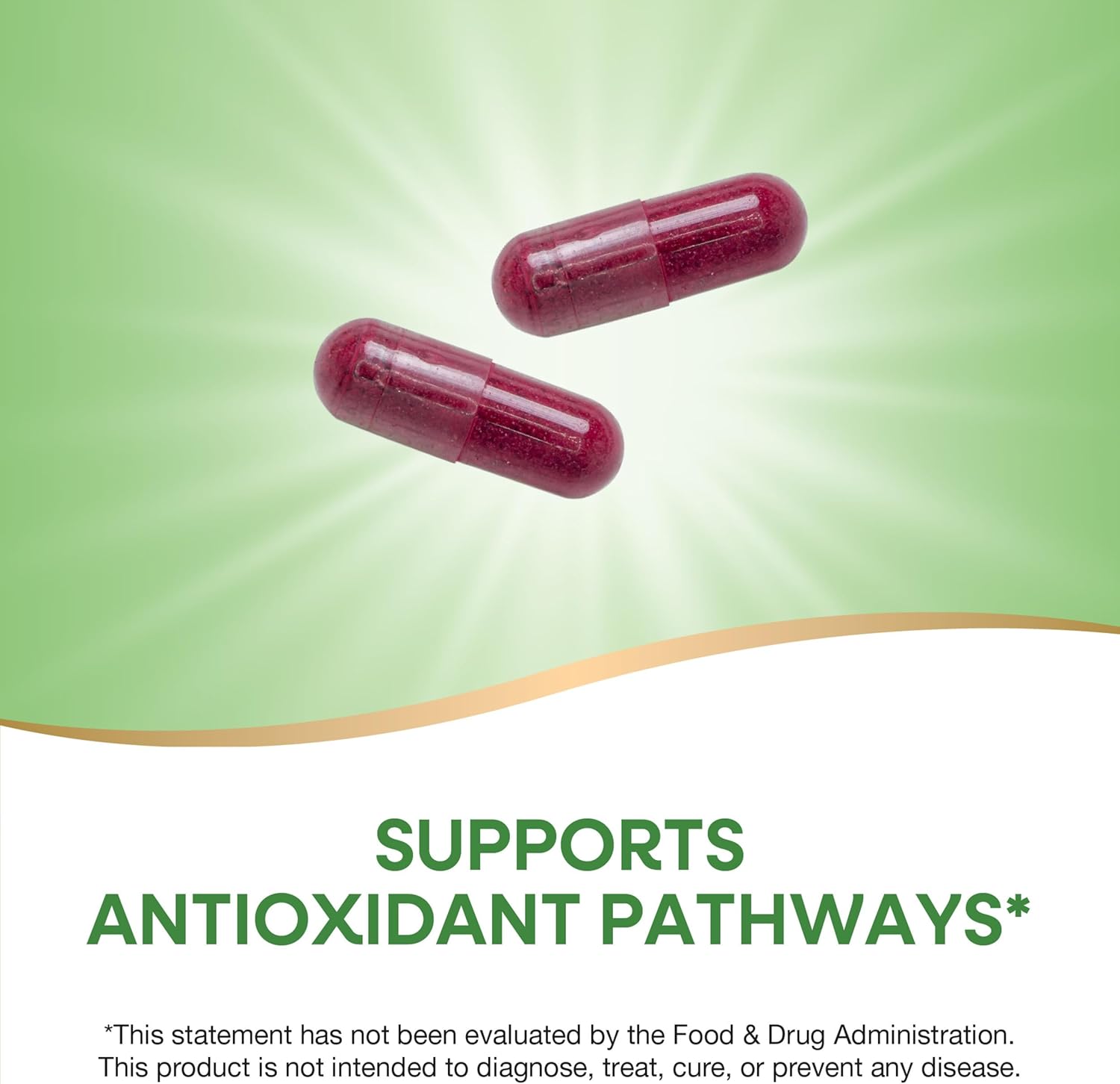 Organic Beet Root Capsules - 1,000 mg per Serving - Antioxidant Support - Vegan - 320 Capsules