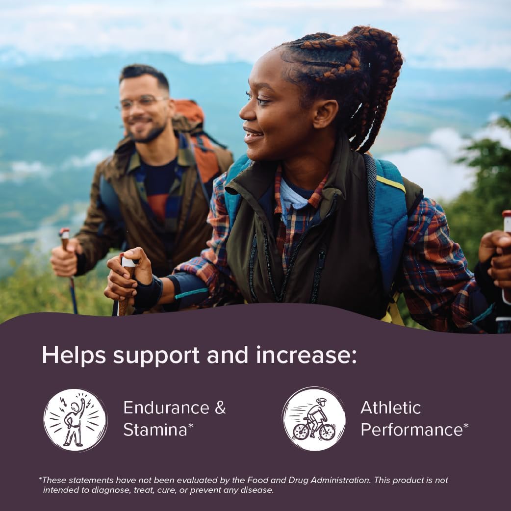 Organic Beet Root Capsules 1000mg - Boost Circulation and Energy - Nitric Oxide Supplement (120 Capsules)