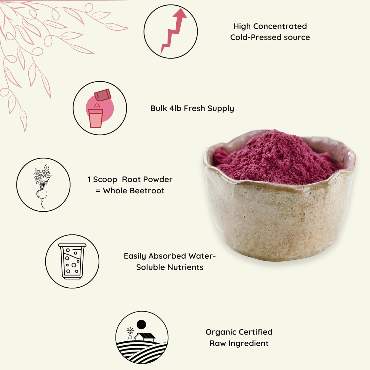 Organic Beetroot Powder for Baking and Smoothies - Nitric Oxide Supplement for Stamina and Energy - Gluten and GMO Free - 5.3 oz