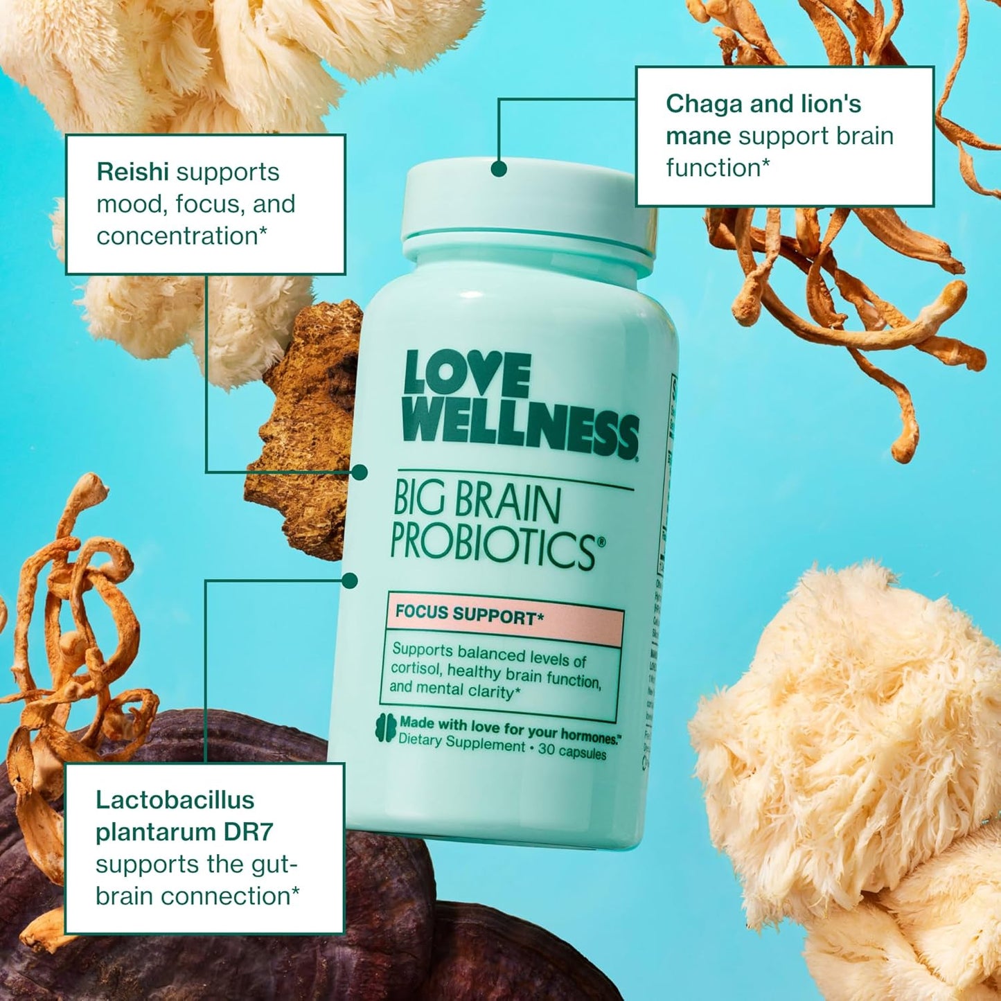 Organic Big Brain Probiotics & Nootropics Supplement for Memory, Focus, Mental Clarity & Mood – 30 Count