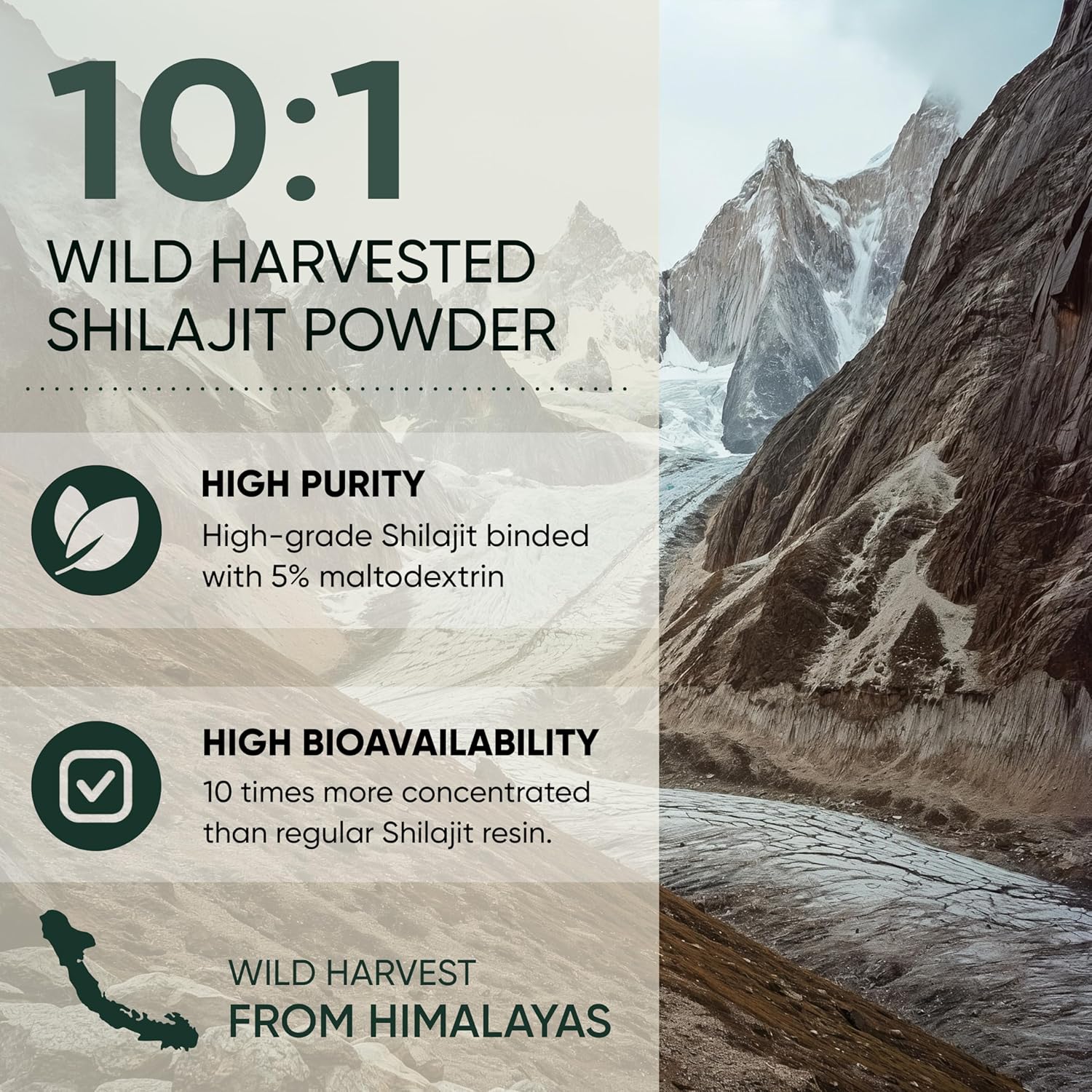 Organic Bilberry Extract for Eyes + Raw Shilajit & Tongkat Ali Powders - Eye Health & Wellness Bundle