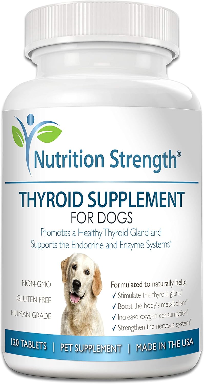 Organic Bladderwrack Dog Thyroid Supplement, Promotes Normal Endocrine Function, 120 Chewable Tablets