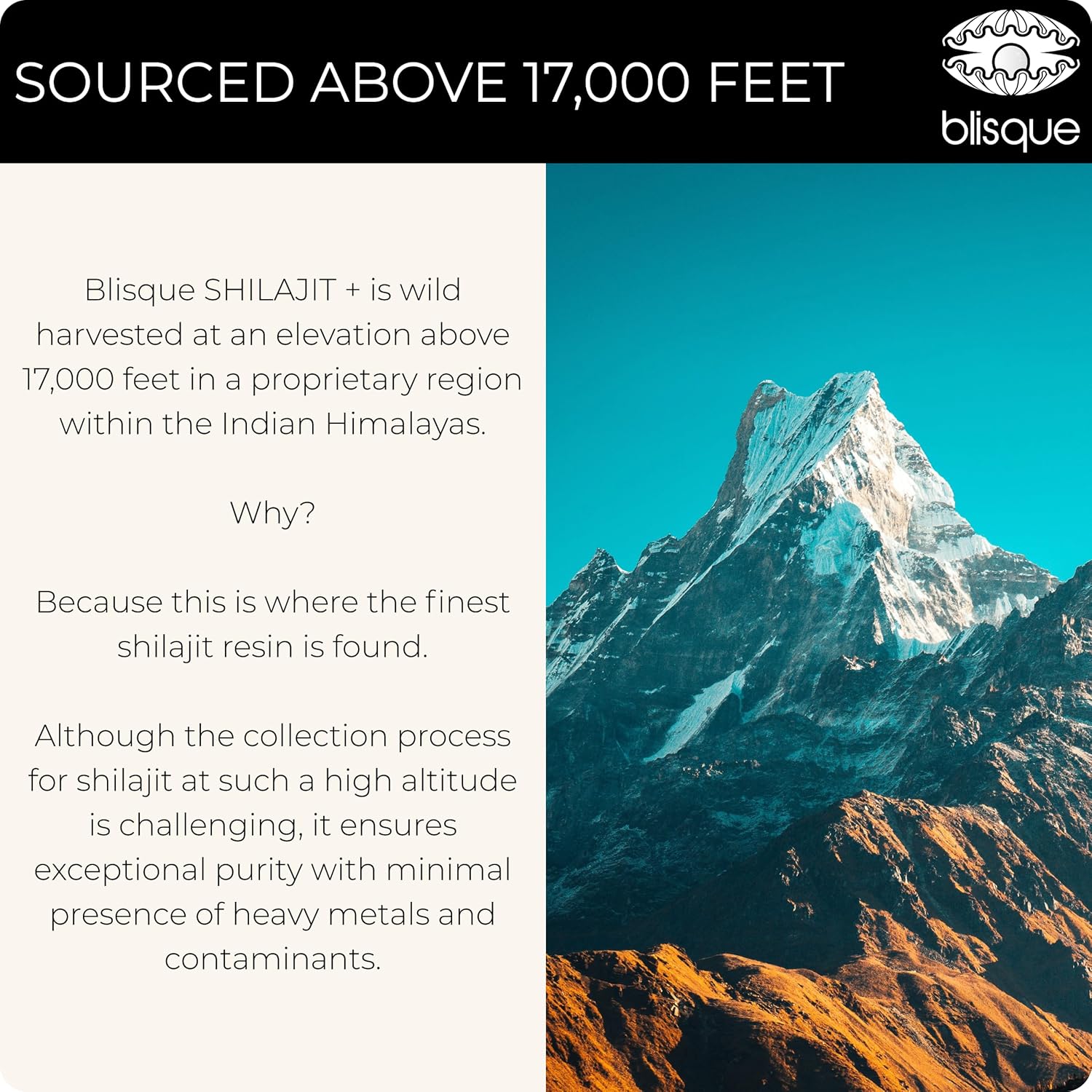 Organic Blisque Shilajit Resin Supplement for Cognitive Support with Bacopa & Gotu Kola - 60g