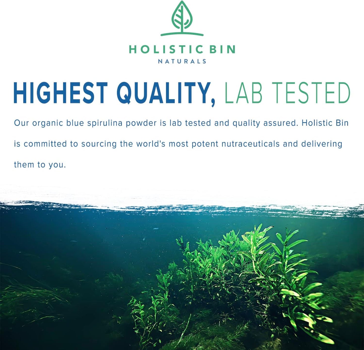 Organic Blue Spirulina Powder: Rich Vegan Protein Source, Ideal for Smoothies & Baked Goods - 50g