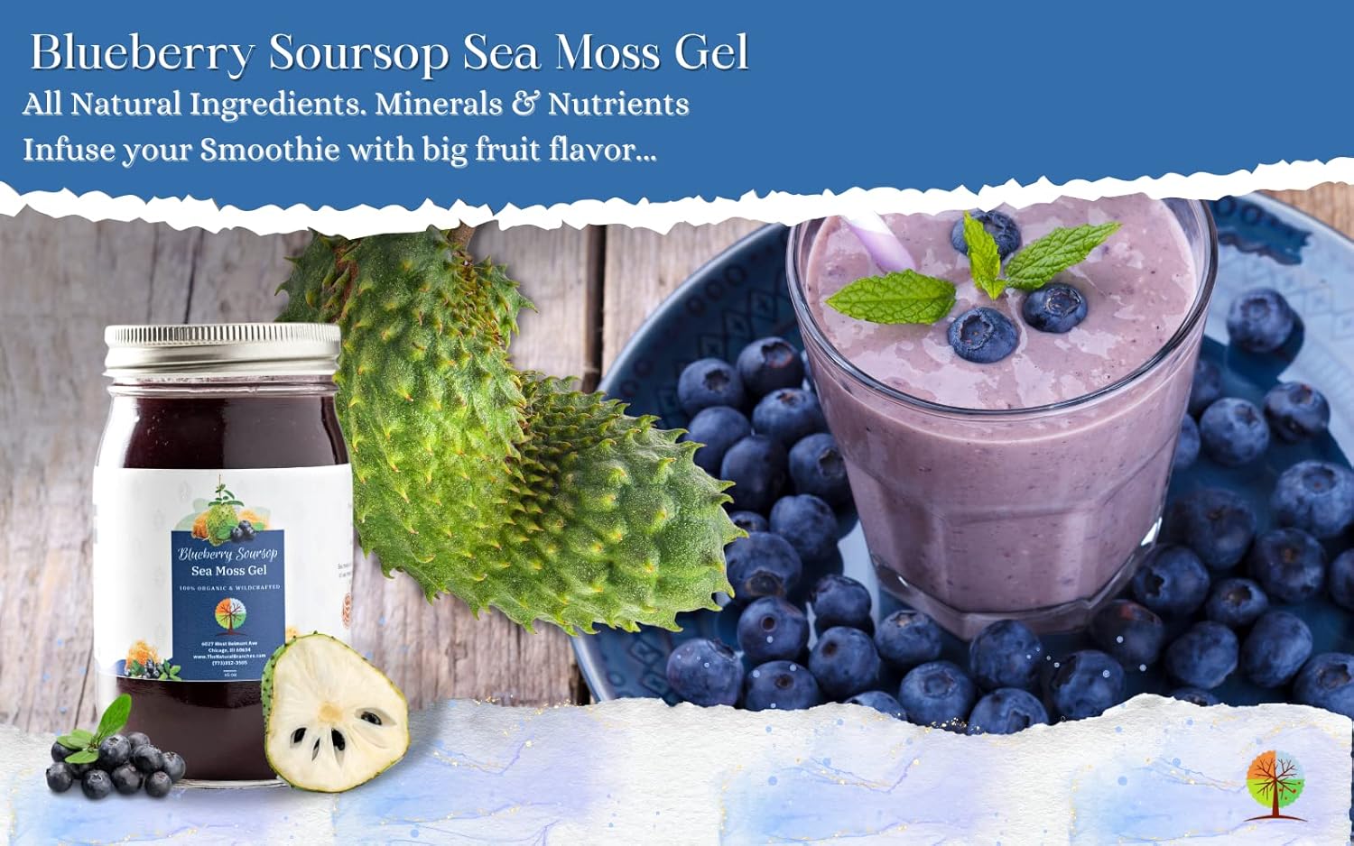 Organic Blueberry and Soursop Fruit Sea Moss Gel 16oz - USDA Certified, Wildcrafted Saint Lucia Seamoss Gel - Made in USA