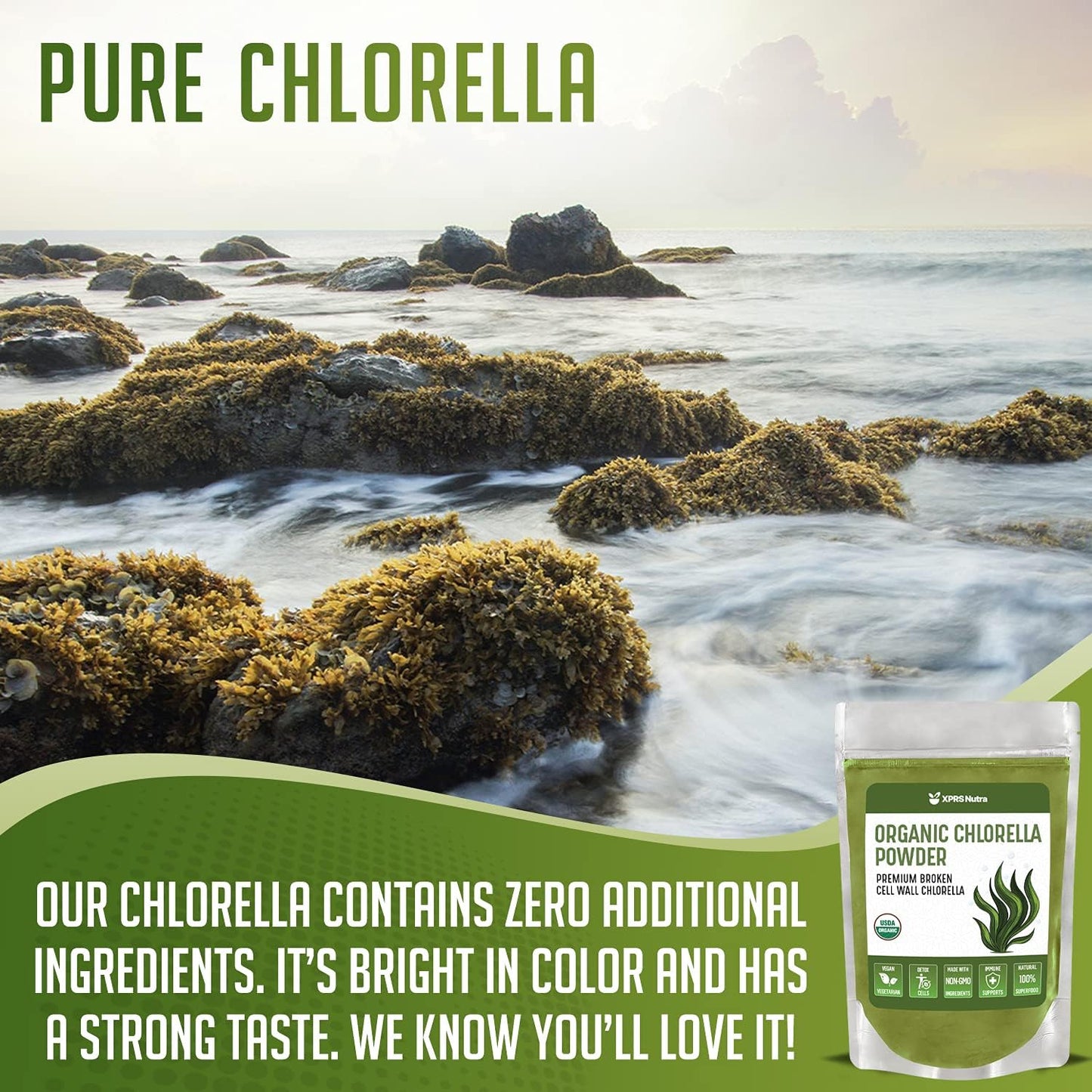 Organic Broken Cell Wall Chlorella Powder for Immunity and Protein - Vegan-Friendly Chlorophyll Powder (16 oz)