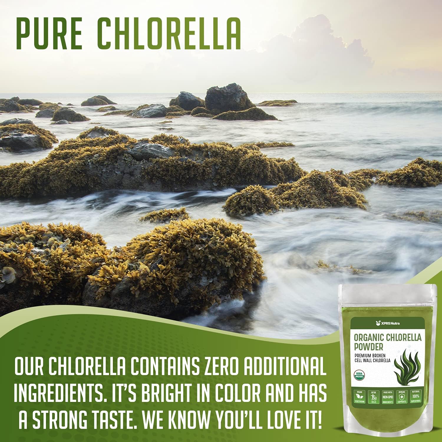 Organic Broken Cell Wall Chlorella Powder for Immunity and Protein - Vegan-Friendly Chlorophyll Powder (16 oz)
