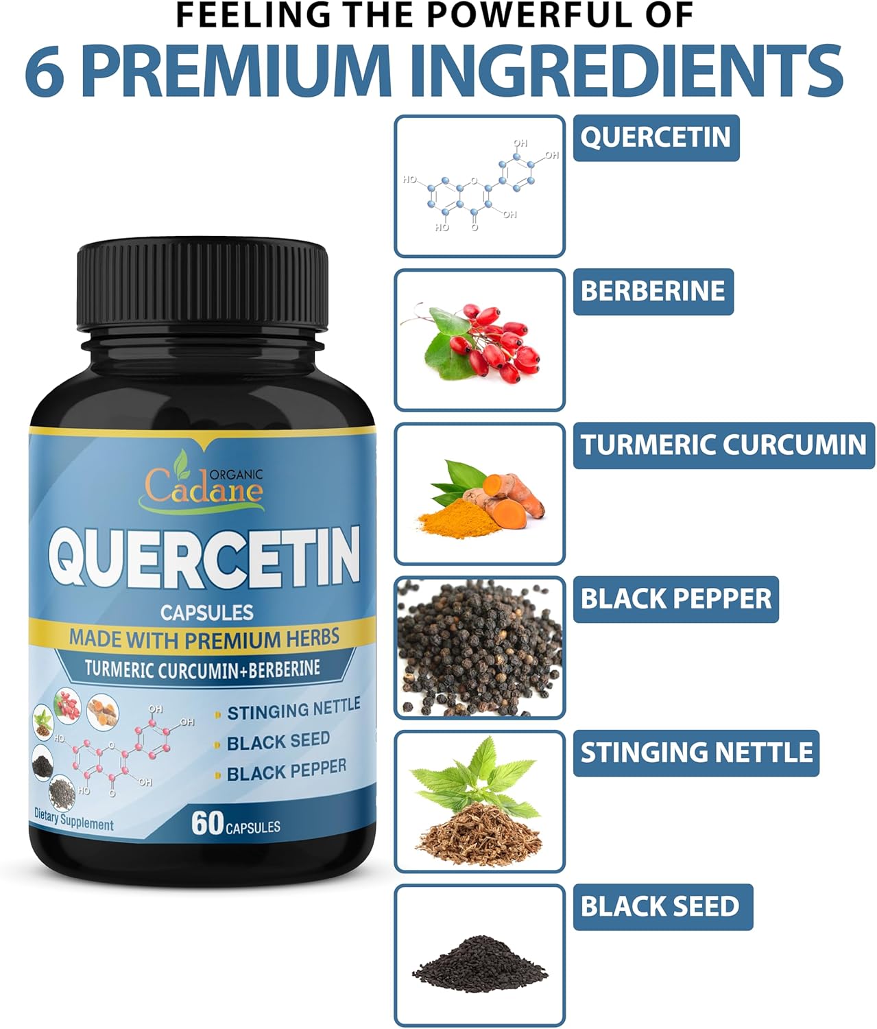 Organic Cadane Quercetin Supplement Capsules with Turmeric & Berberine - Immune System Support - 4 Month Supply