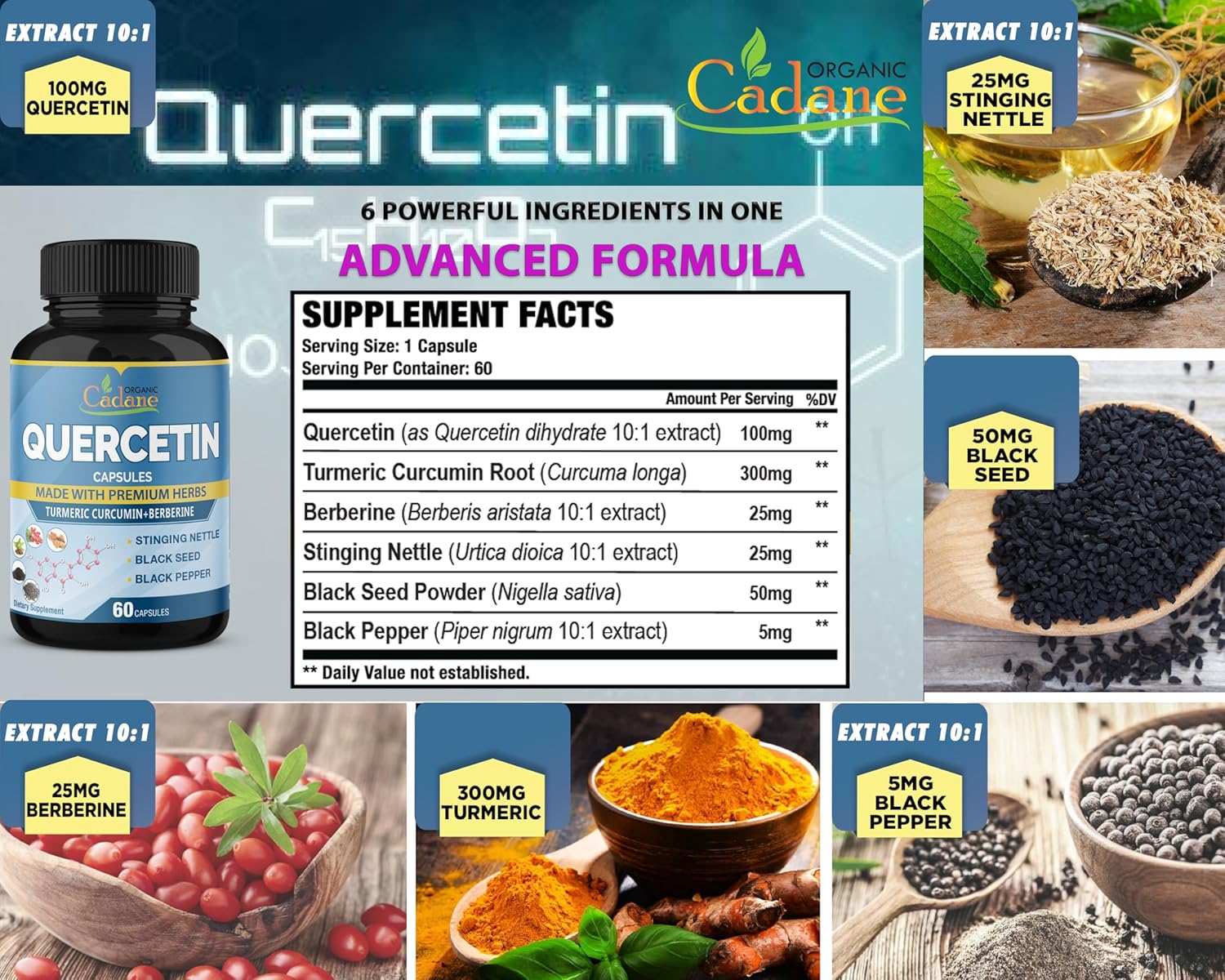 Organic Cadane Quercetin Supplement Capsules with Turmeric & Berberine - Immune System Support - 4 Month Supply