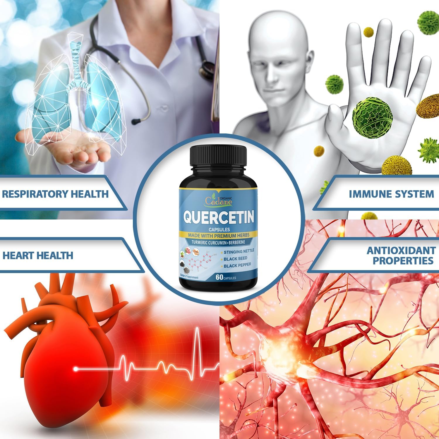 Organic Cadane Quercetin Supplement Capsules with Turmeric & Berberine - Immune System Support - 4 Month Supply