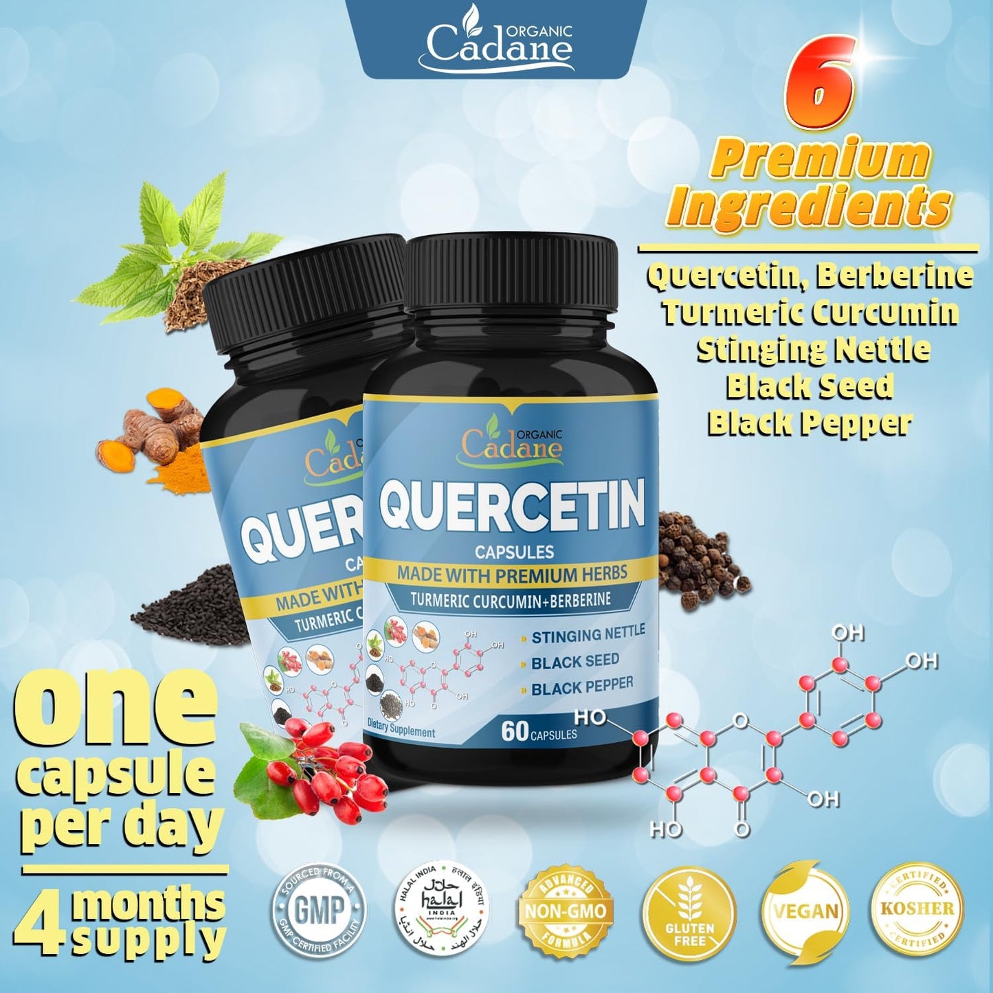 Organic Cadane Quercetin Supplement Capsules with Turmeric & Berberine - Immune System Support - 4 Month Supply