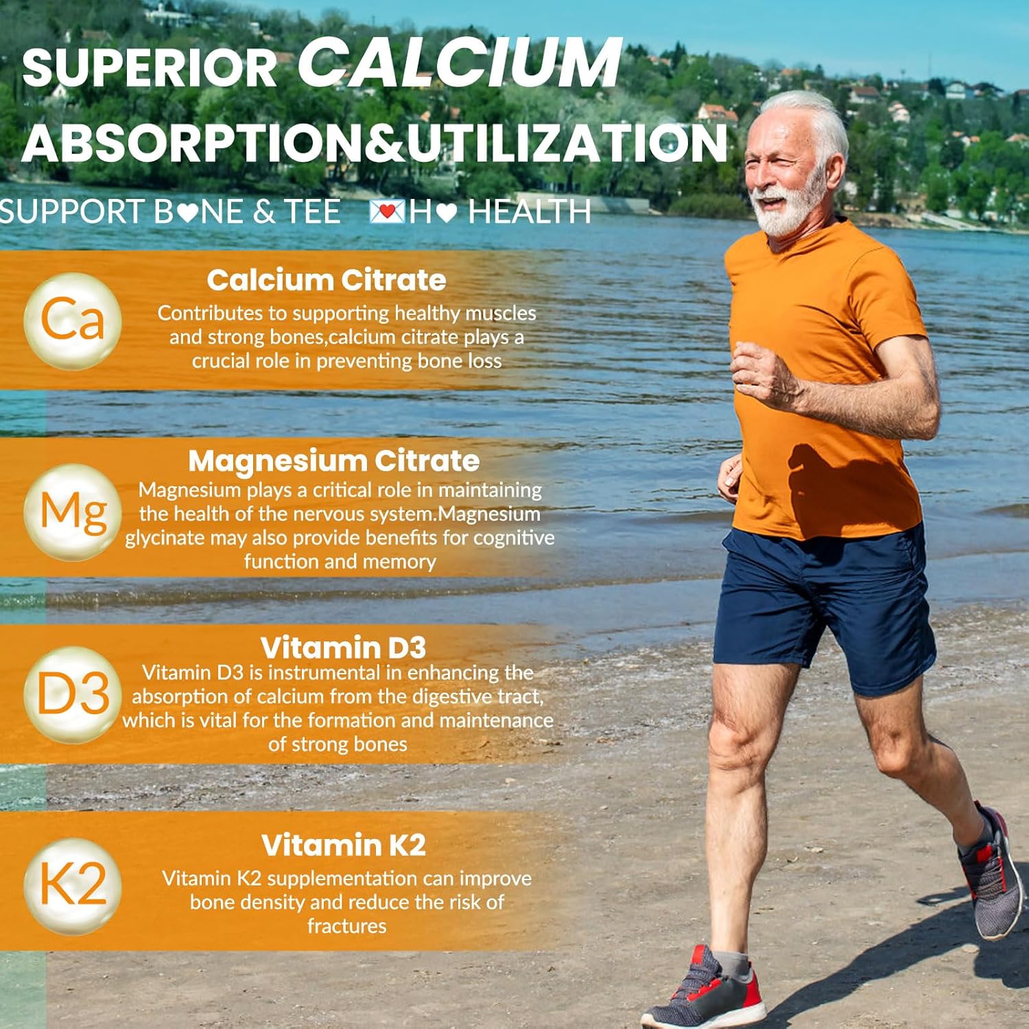 Organic Calcium Magnesium Zinc Gummies for Adults - High Absorption Supplement with D3 B12 - Sugar-Free (60 Count)