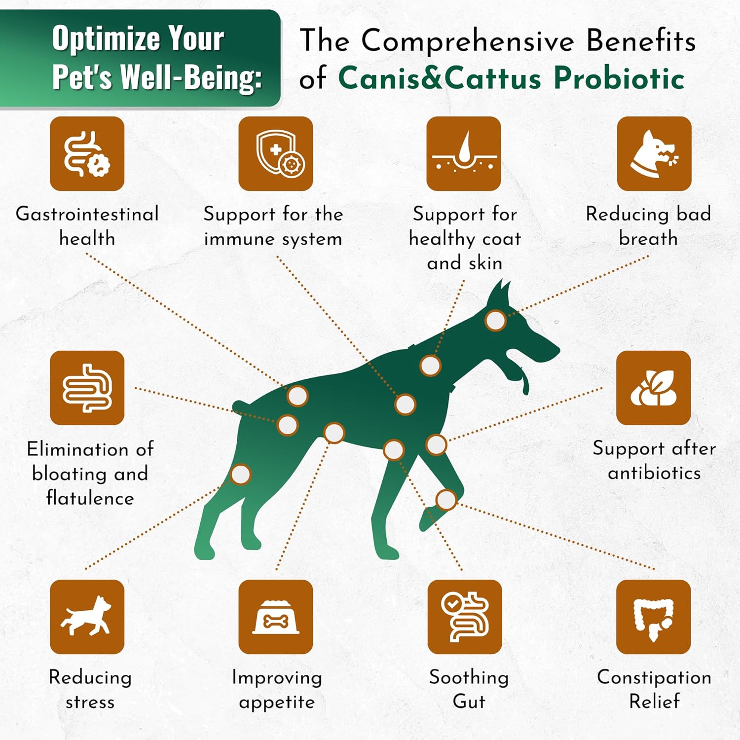 Organic Canis&Cattus Pet Probiotics for Cats and Dogs - 1 oz Supplement