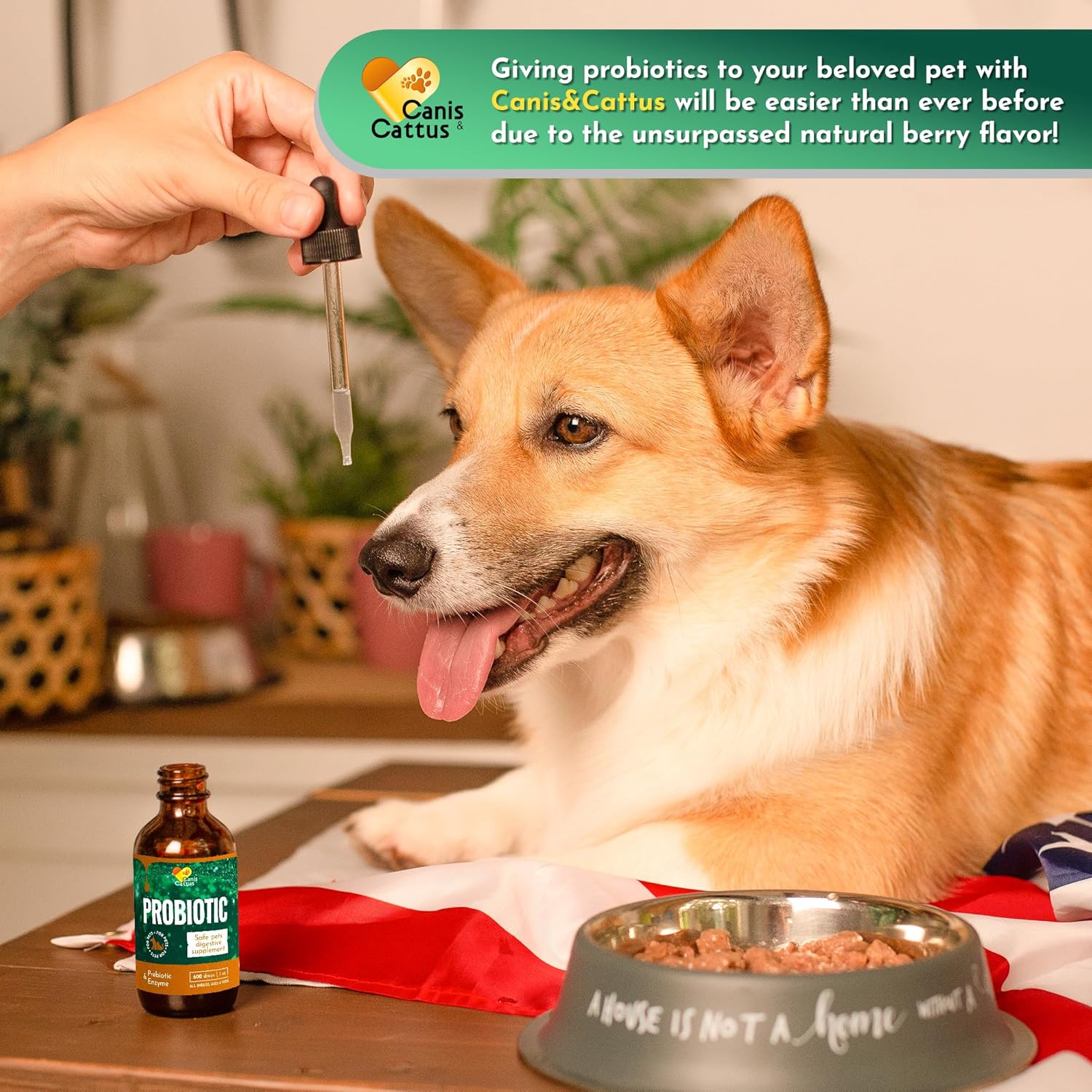 Organic Canis&Cattus Pet Probiotics for Cats and Dogs - 1 oz Supplement