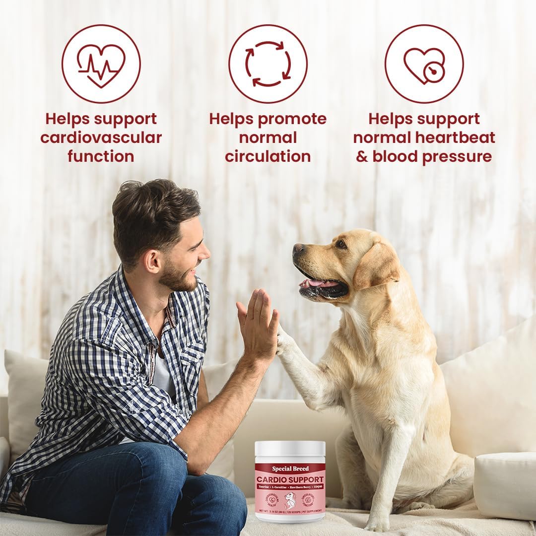 Organic Cardio Support Powder Supplement for Dogs - Heart Health with Taurine & CoQ10, 120 Scoops