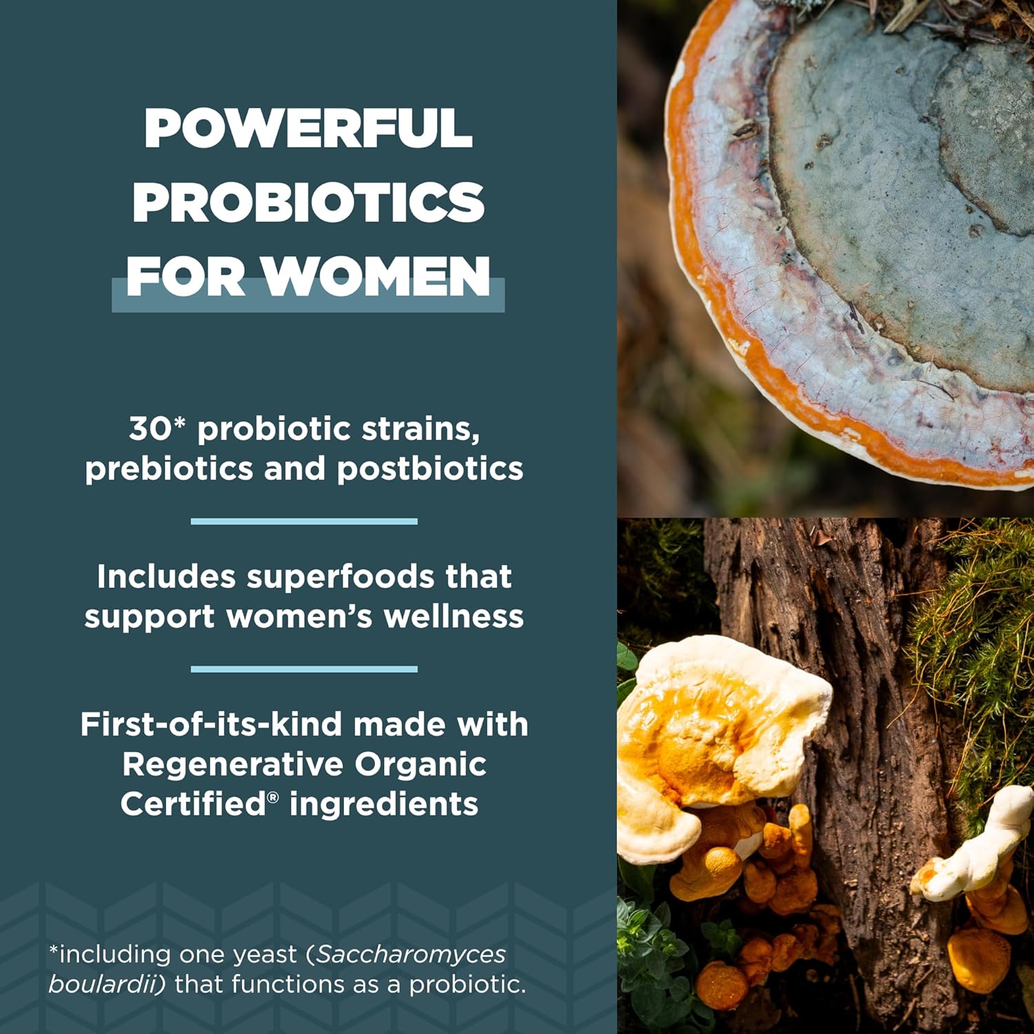Organic Certified Women's Probiotics Set - Ancient Nutrition, 30 Once Daily + 60 SBO Count