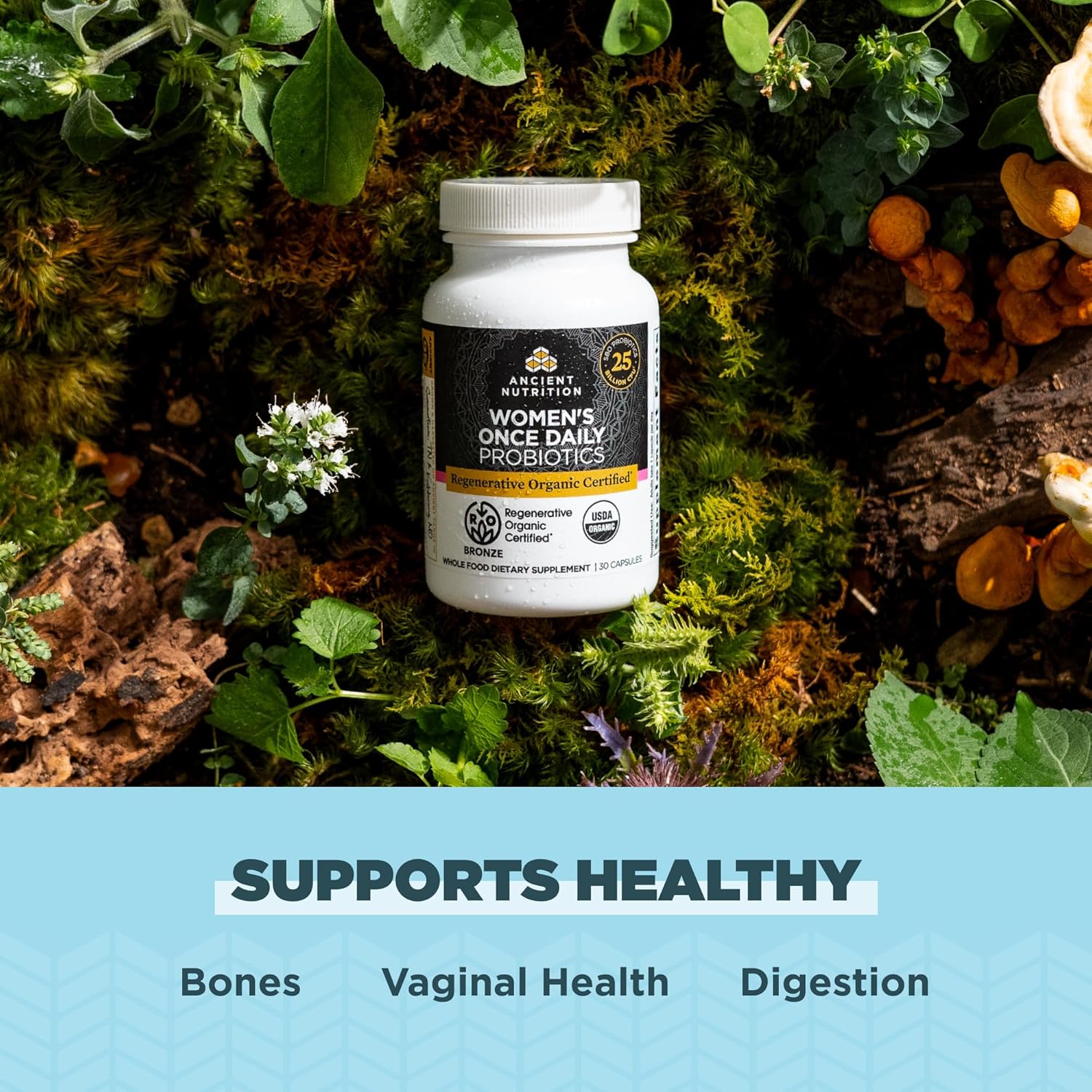 Organic Certified Women's Probiotics Set - Ancient Nutrition, 30 Once Daily + 60 SBO Count