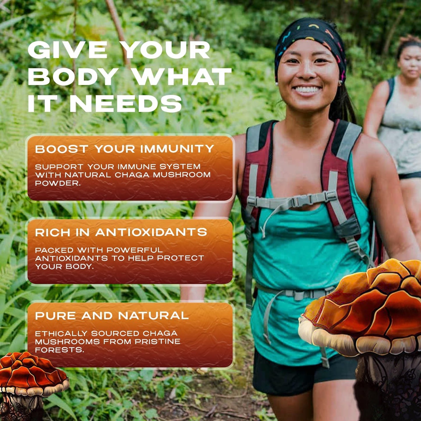 Organic Chaga Mushroom Capsules - 100 Count, 1000mg Natural Antioxidant Immune Support Supplement