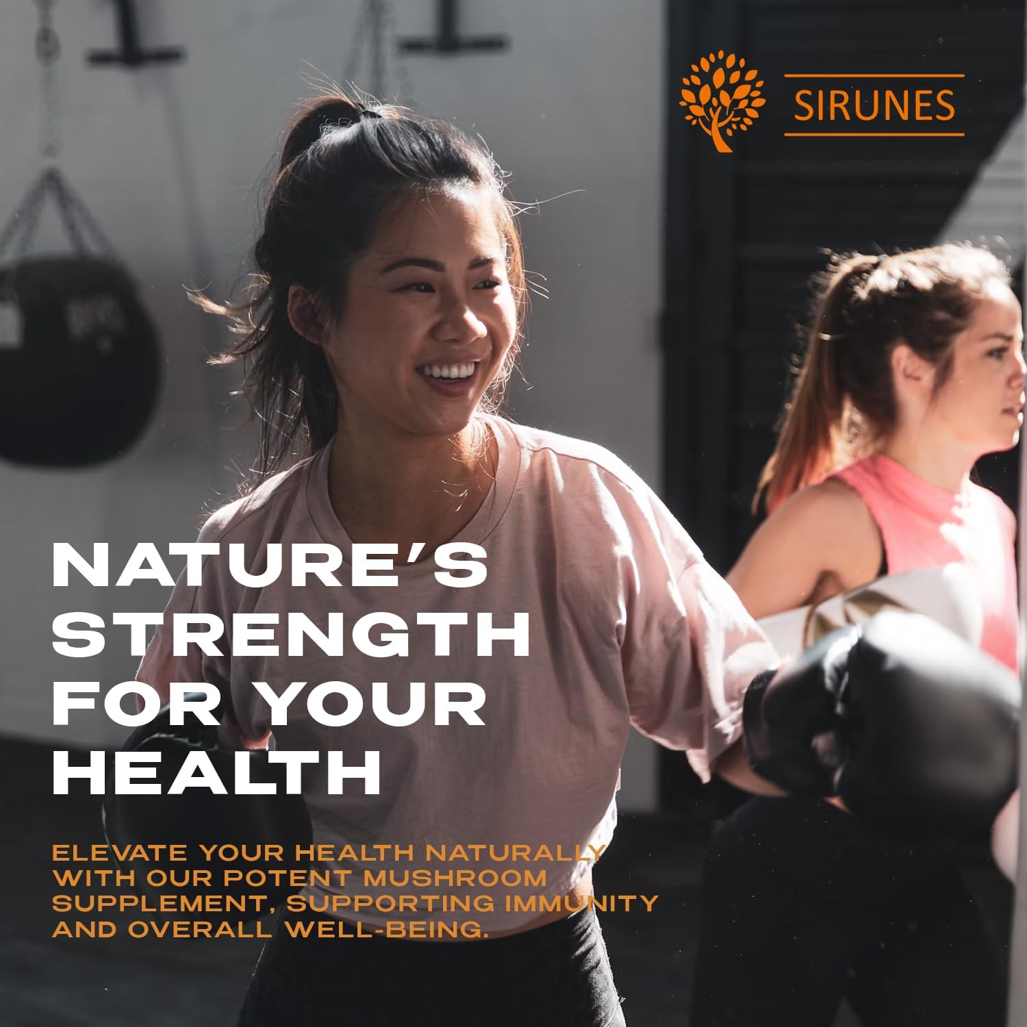 Organic Chaga Mushroom Capsules - 100 Count, 1000mg Natural Antioxidant Immune Support Supplement