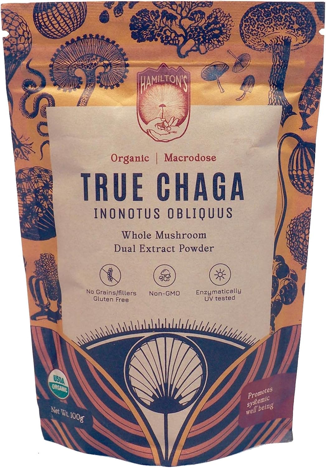 Organic Chaga Mushroom Extract Powder | Immune Support, Skin & Hair Health | High Potency | 30% Beta Glucans | No Additives | GF, Non-GMO, Vegan | 100g