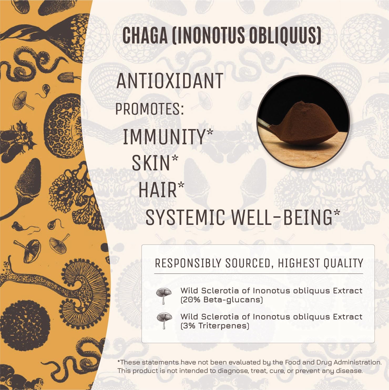 Organic Chaga Mushroom Extract Powder | Immune Support, Skin & Hair Health | High Potency | 30% Beta Glucans | No Additives | GF, Non-GMO, Vegan | 100g