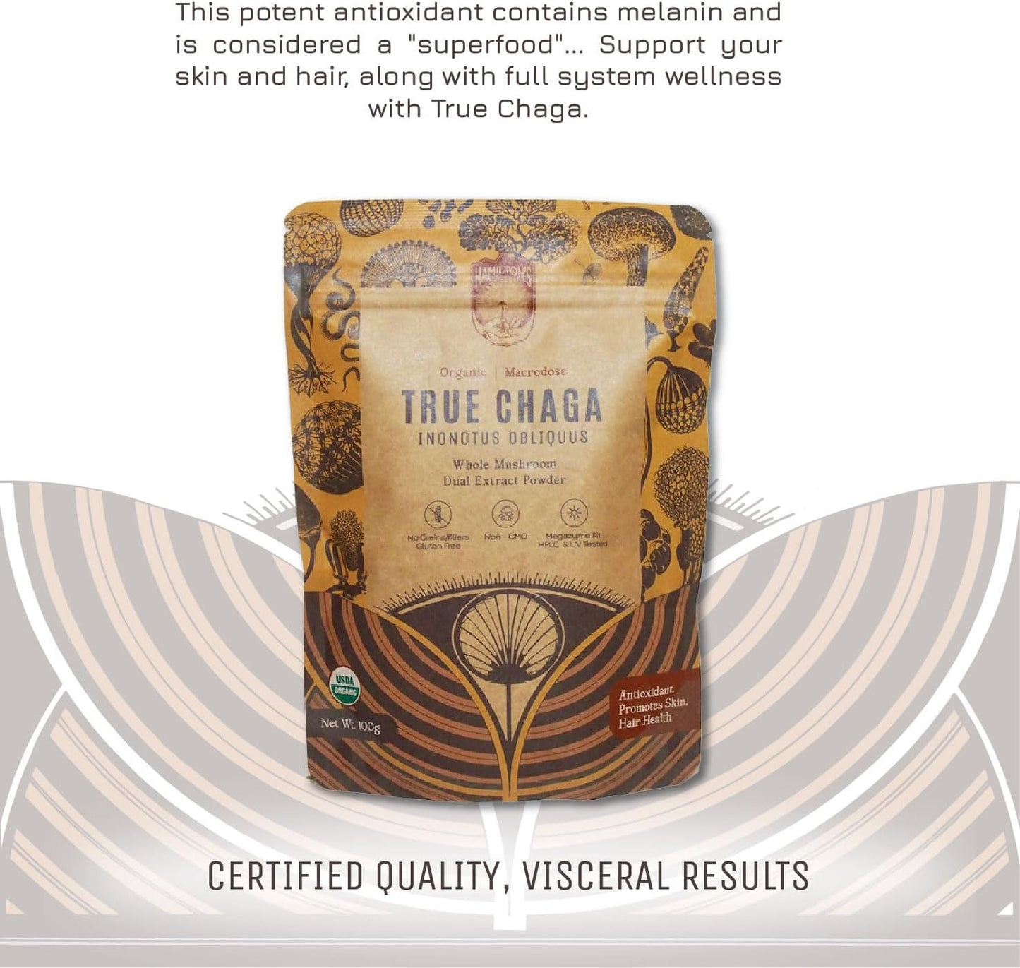 Organic Chaga Mushroom Extract Powder | Immune Support, Skin & Hair Health | High Potency | 30% Beta Glucans | No Additives | GF, Non-GMO, Vegan | 100g