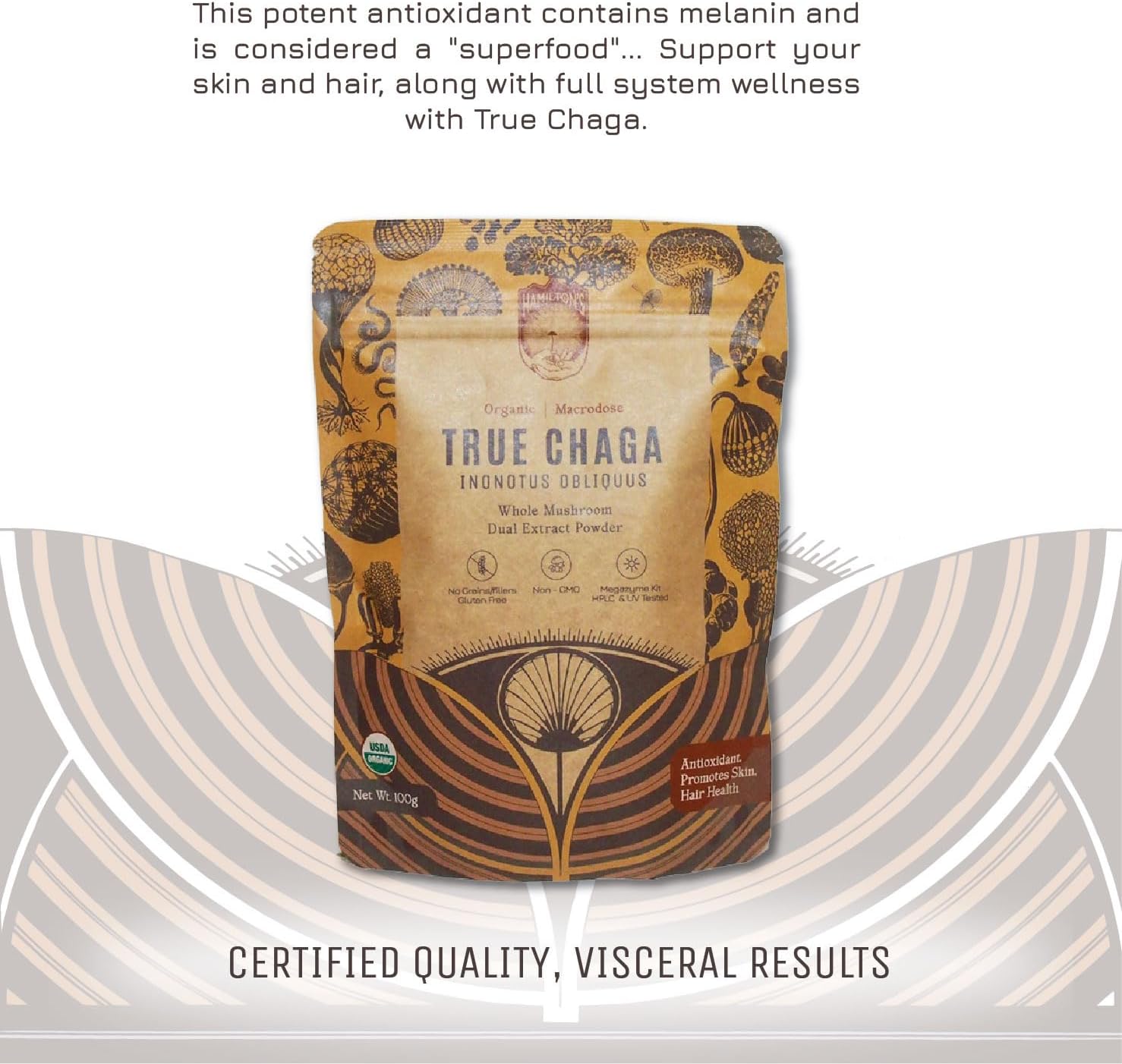 Organic Chaga Mushroom Extract Powder | Immune Support, Skin & Hair Health | High Potency | 30% Beta Glucans | No Additives | GF, Non-GMO, Vegan | 100g