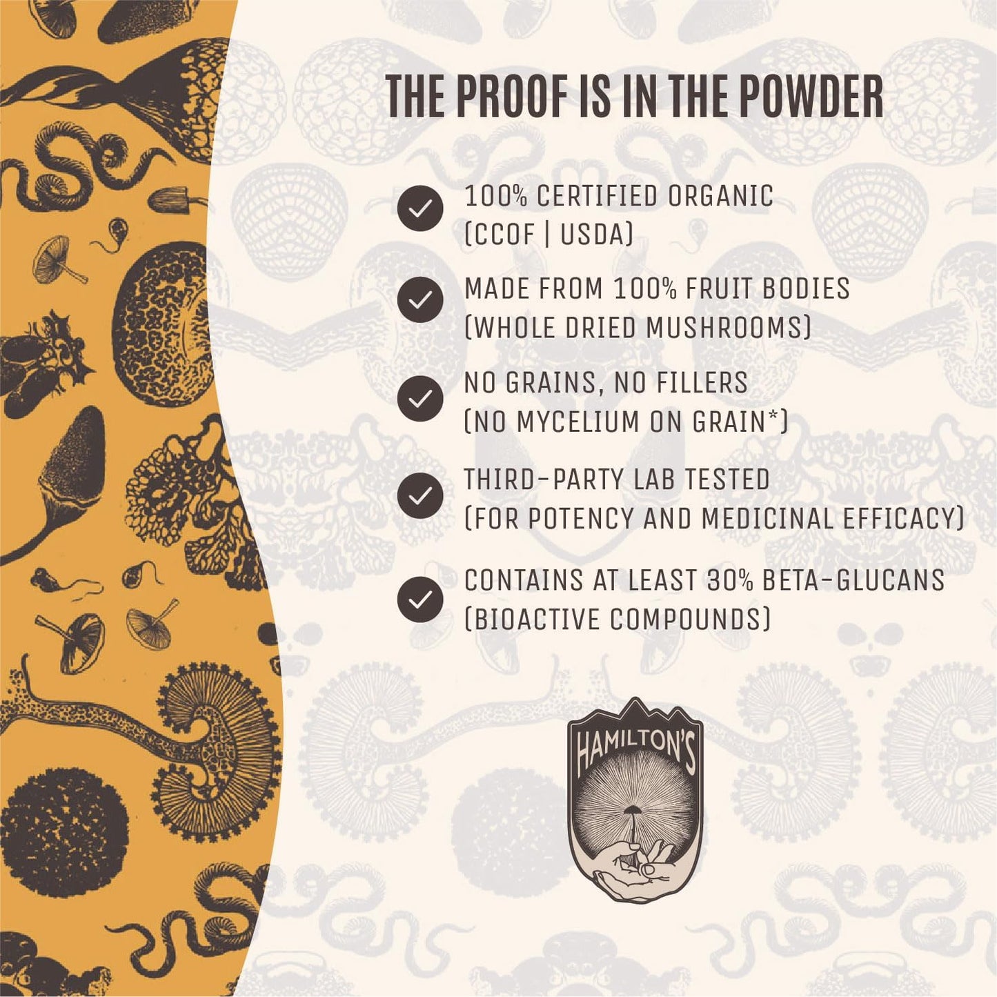 Organic Chaga Mushroom Extract Powder | Immune Support, Skin & Hair Health | High Potency | 30% Beta Glucans | No Additives | GF, Non-GMO, Vegan | 100g