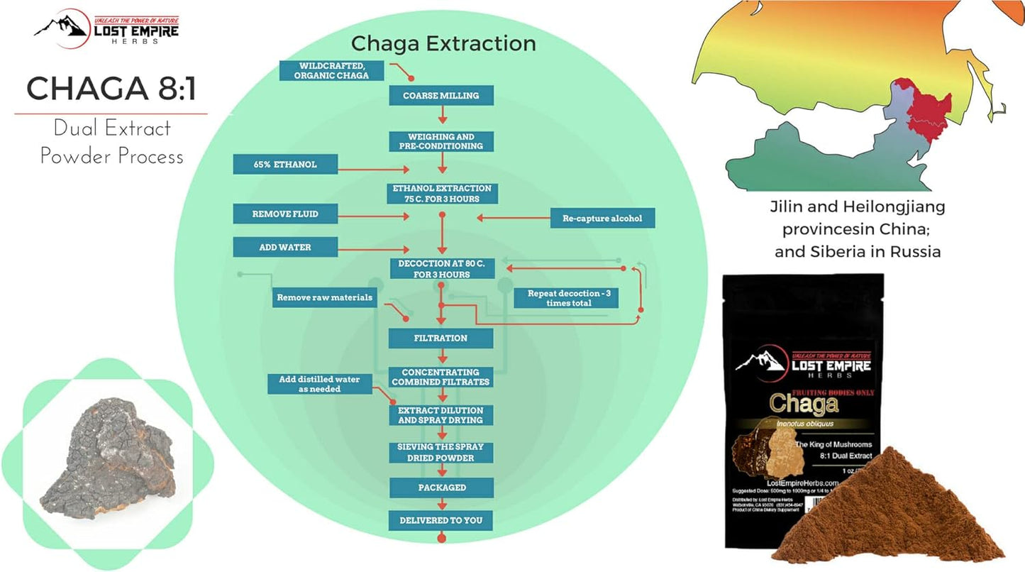 Organic Chaga Mushroom Powder | 8:1 Dual Extract from Real Mushrooms | Boost Immunity - 30g