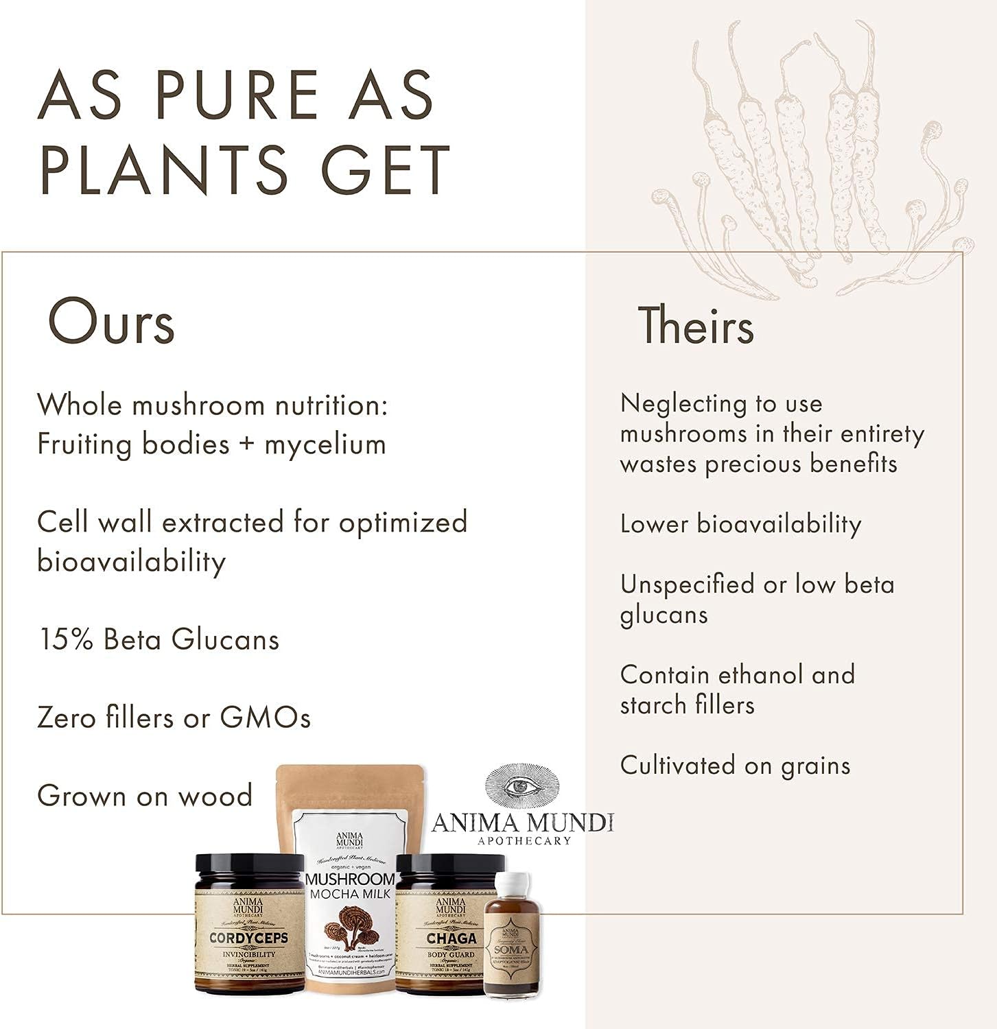 Organic Chaga Mushroom Powder by Anima Mundi Apothecary - Immune System Support Supplement - Pure Chaga Extract Powder for Tea, Coffee - 5oz