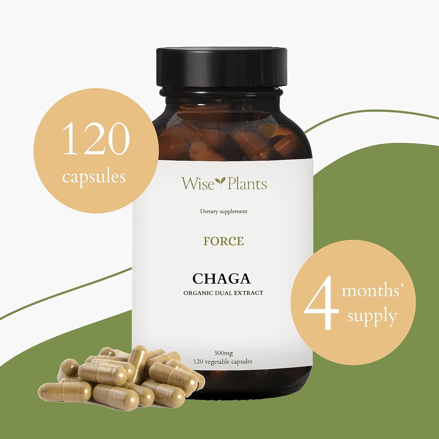 Organic Chaga Mushroom Supplement - Dual Extract, 30% Polysaccharides, 500mg, 120 Vegecaps. Supports Digestive, Immune, & Heart Health.