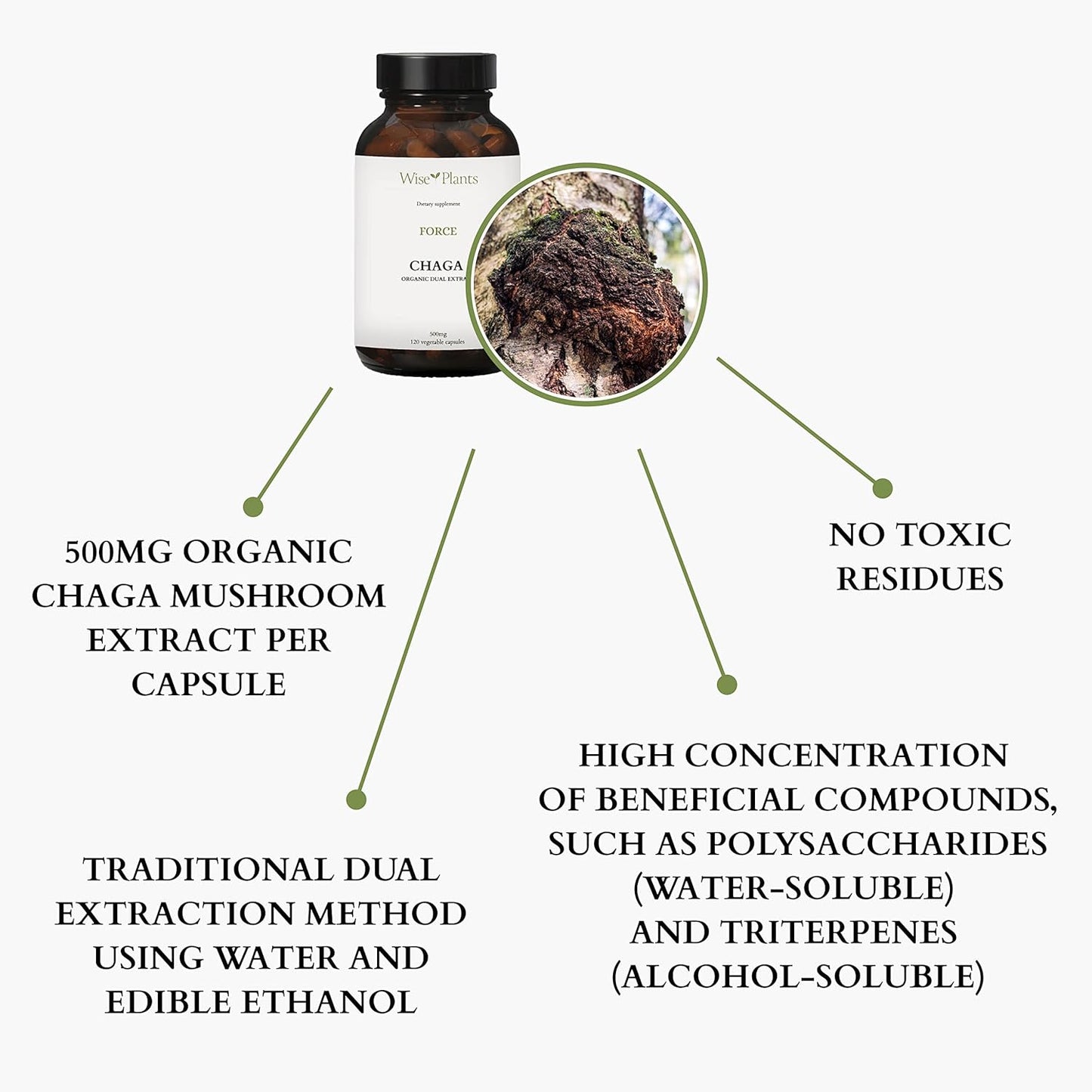 Organic Chaga Mushroom Supplement - Dual Extract, 30% Polysaccharides, 500mg, 120 Vegecaps. Supports Digestive, Immune, & Heart Health.