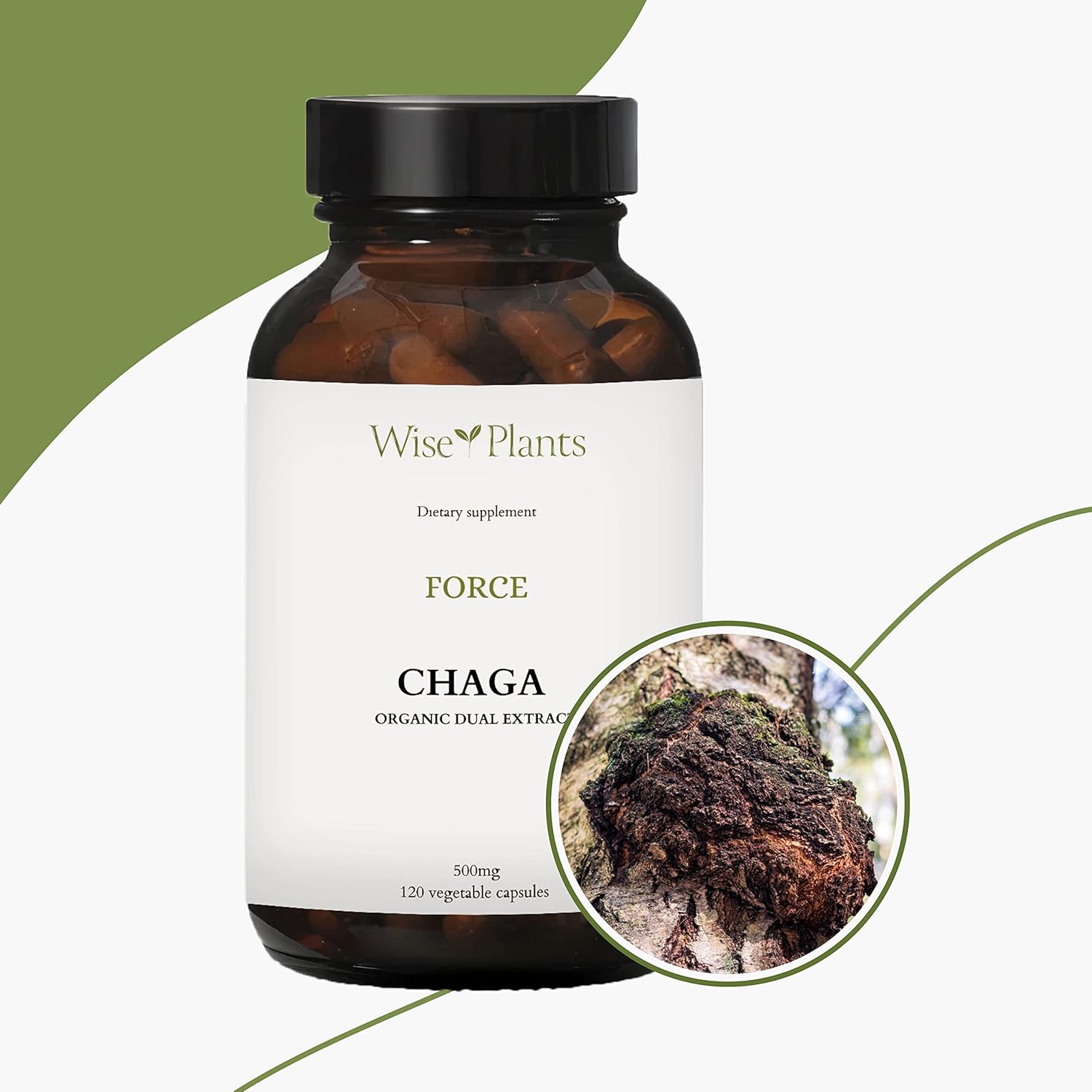 Organic Chaga Mushroom Supplement - Dual Extract, 30% Polysaccharides, 500mg, 120 Vegecaps. Supports Digestive, Immune, & Heart Health.