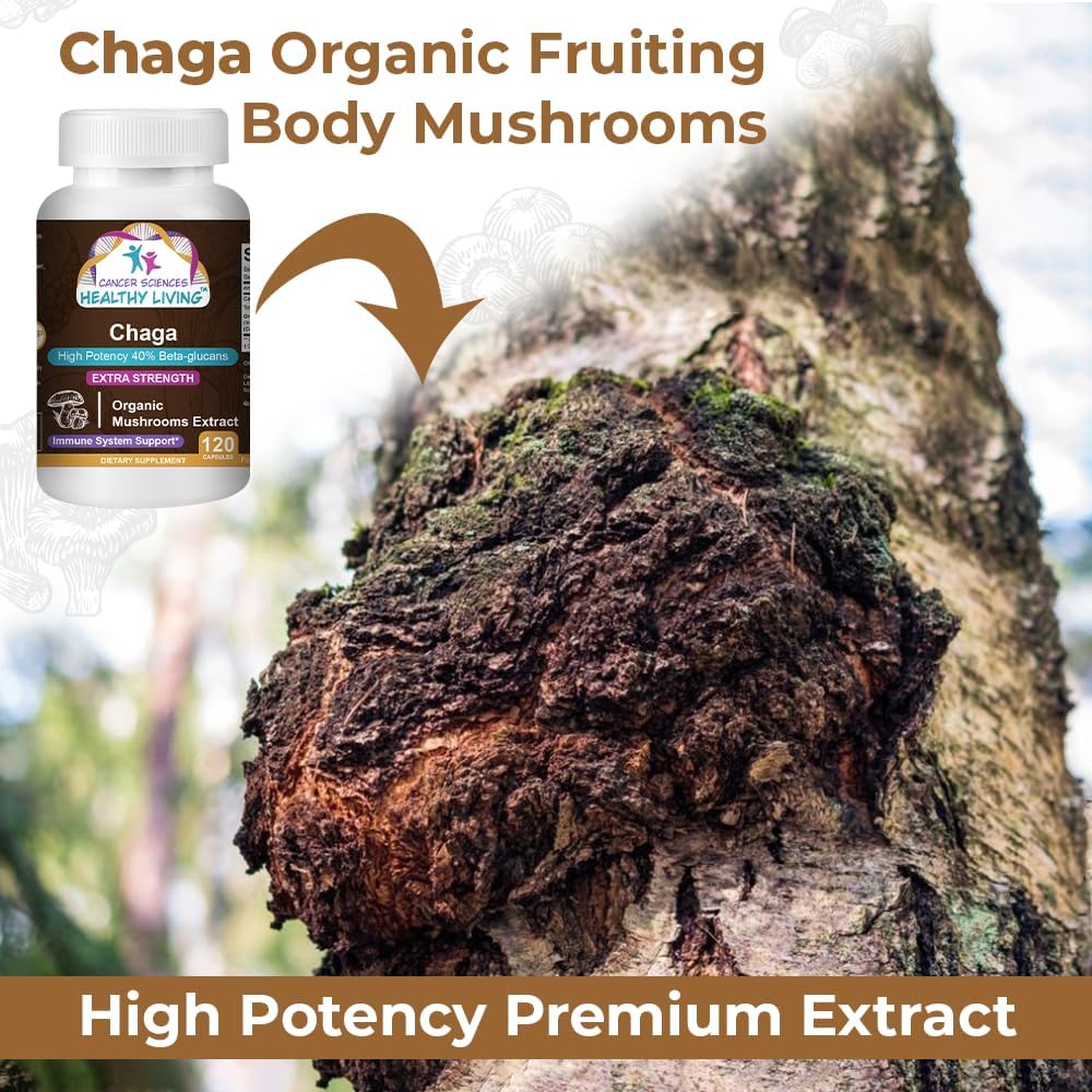 Organic Chaga Mushroom Supplement - High Potency Immune Support and Antioxidant - 1,500mg Extract with 40% Beta-Glucans - Gut Health - 120 Capsules