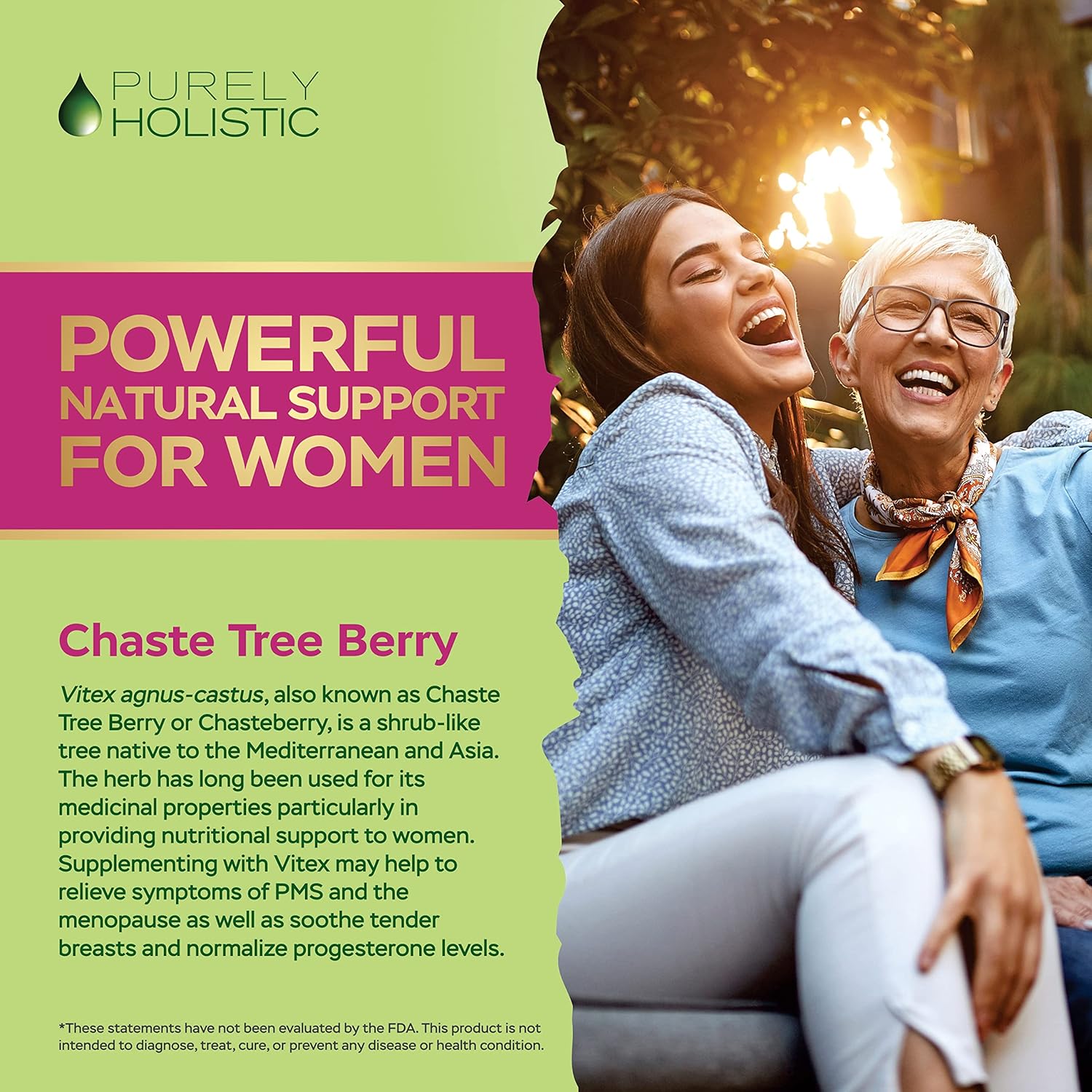 Organic Chasteberry Vitex Supplement 650mg - 4 Month Supply 120 Vegan Capsules - Hormone Balance Support for Women with Agnus-Castus Fruit