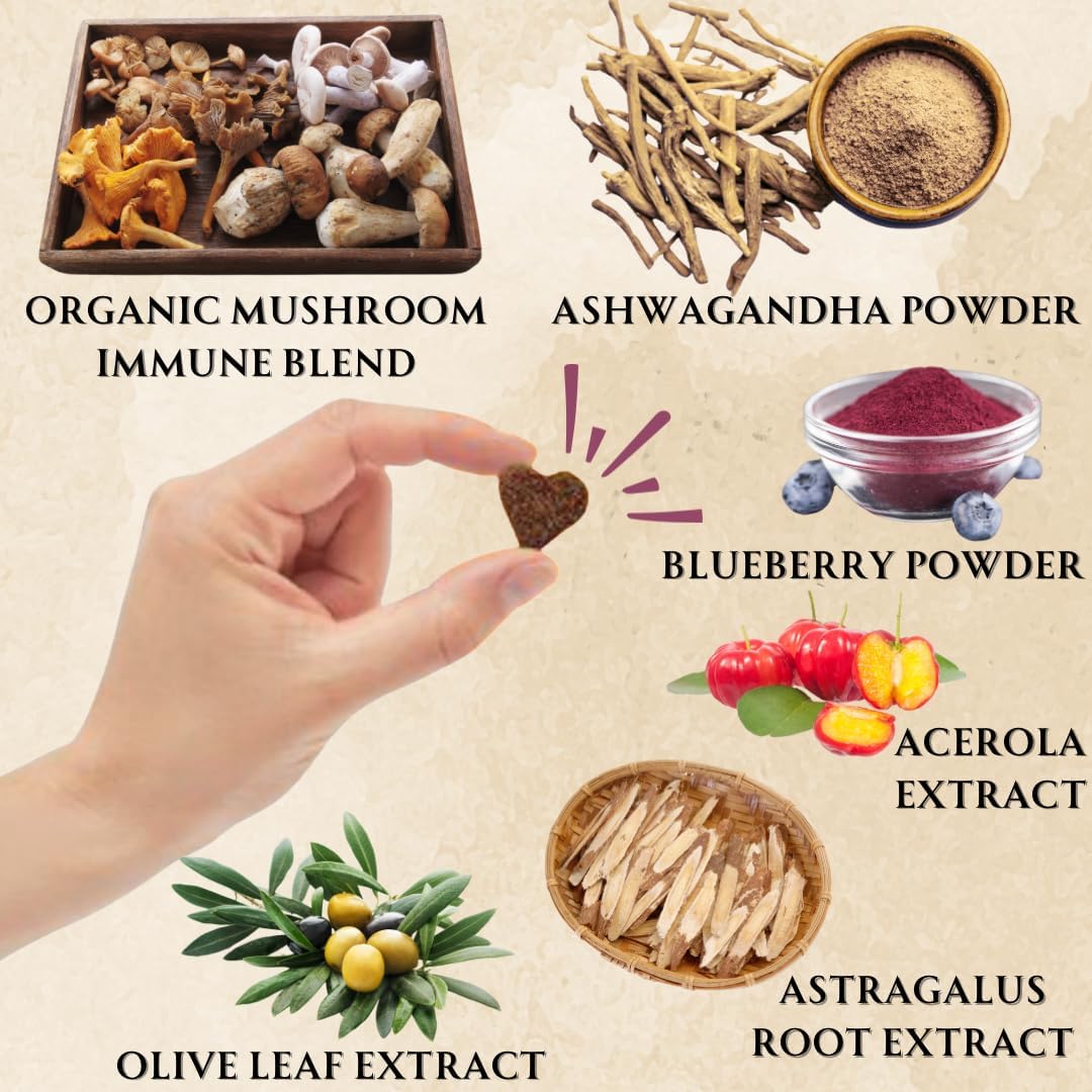 Organic Chicken Flavored Mushroom Supplement for Dogs - Immune Support, Longevity, Joint Health - Grain-Free, 90 Chews