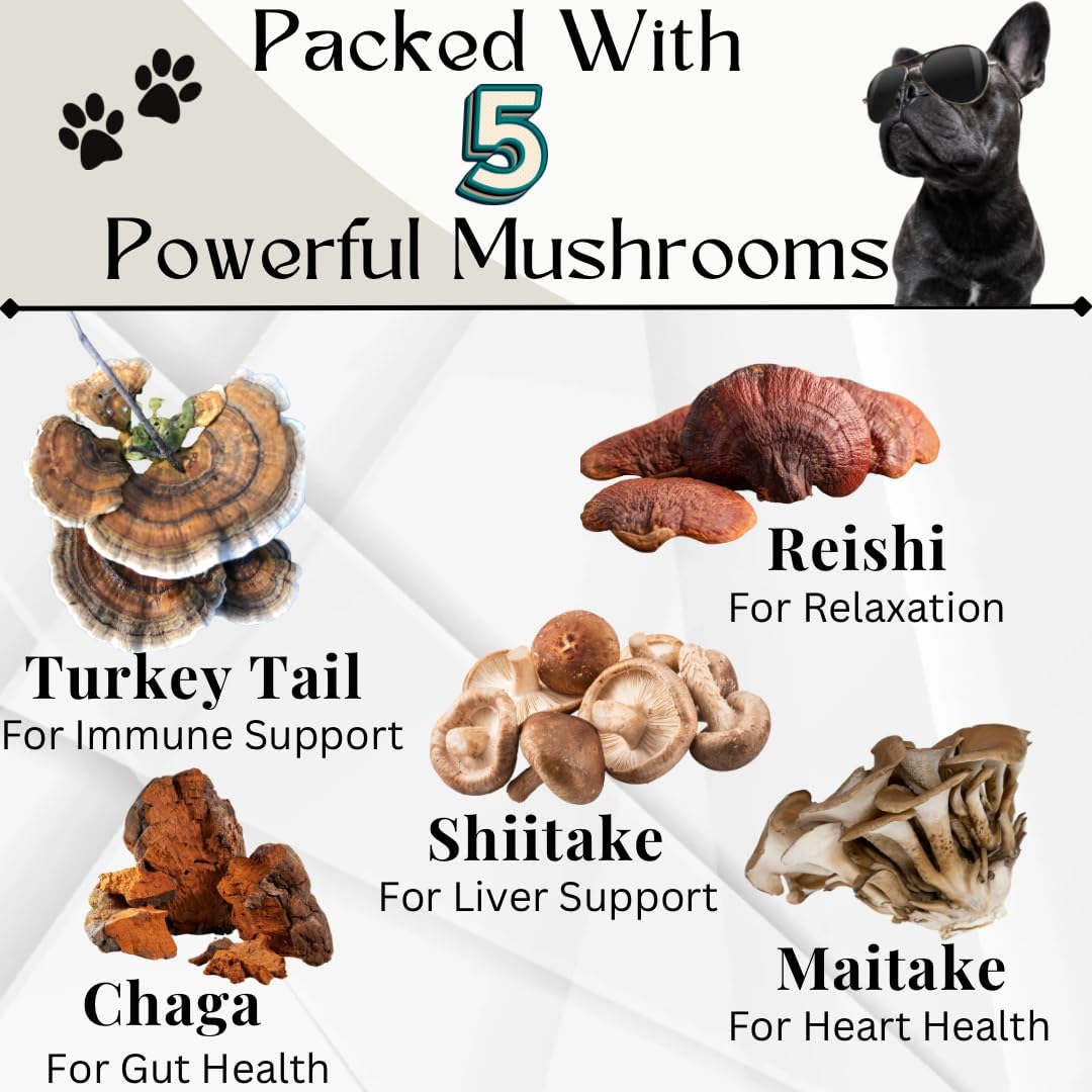 Organic Chicken Flavored Mushroom Supplement for Dogs - Immune Support, Longevity, Joint Health - Grain-Free, 90 Chews