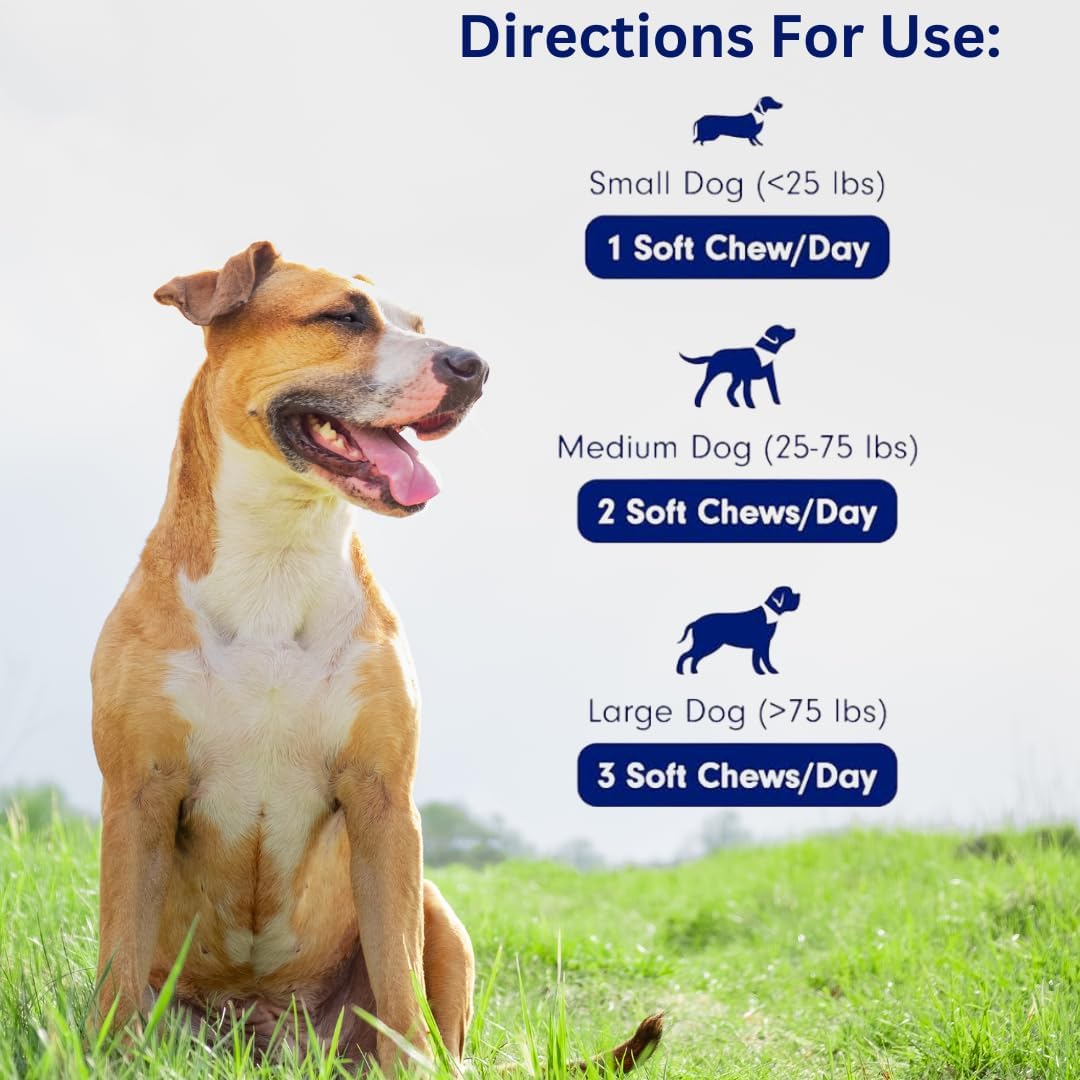 Organic Chicken Flavored Mushroom Supplement for Dogs - Immune Support, Longevity, Joint Health - Grain-Free, 90 Chews