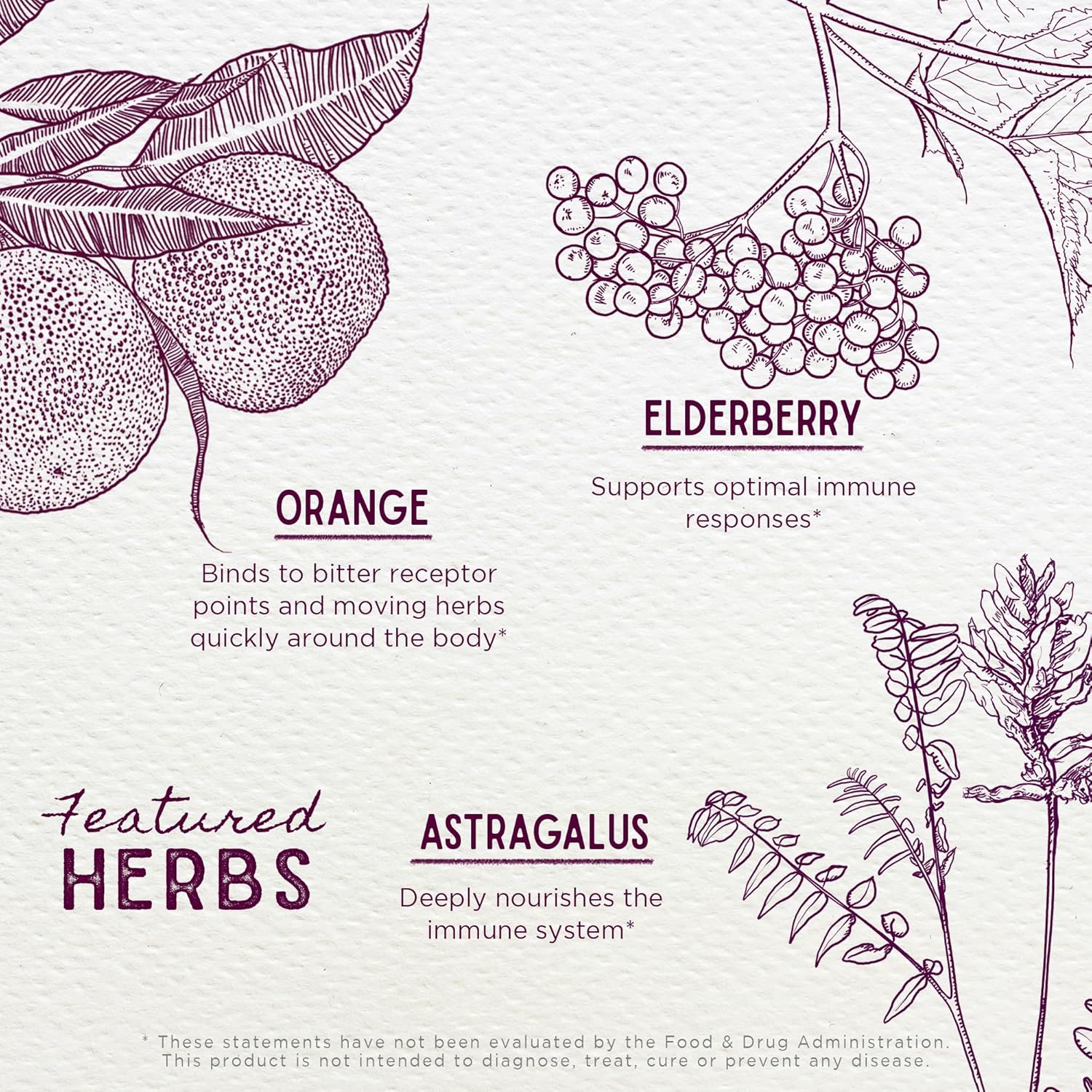 Organic Children's Elderberry Syrup with Black Elderberry, Astragalus, Orange Peel & Honey - Daily Immune Booster for Kids, No Added Sugar - 4oz - BoostGo Australia