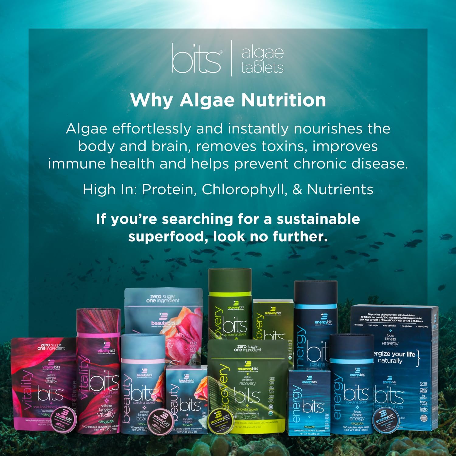 Organic Chlorella Tablets for Energy, Immune System, and Detox - Plant-Based Algae Superfood with Chlorophyll - 360 Tablets in Small Canister - Keto, Vegan, Non-GMO - BoostGo Australia