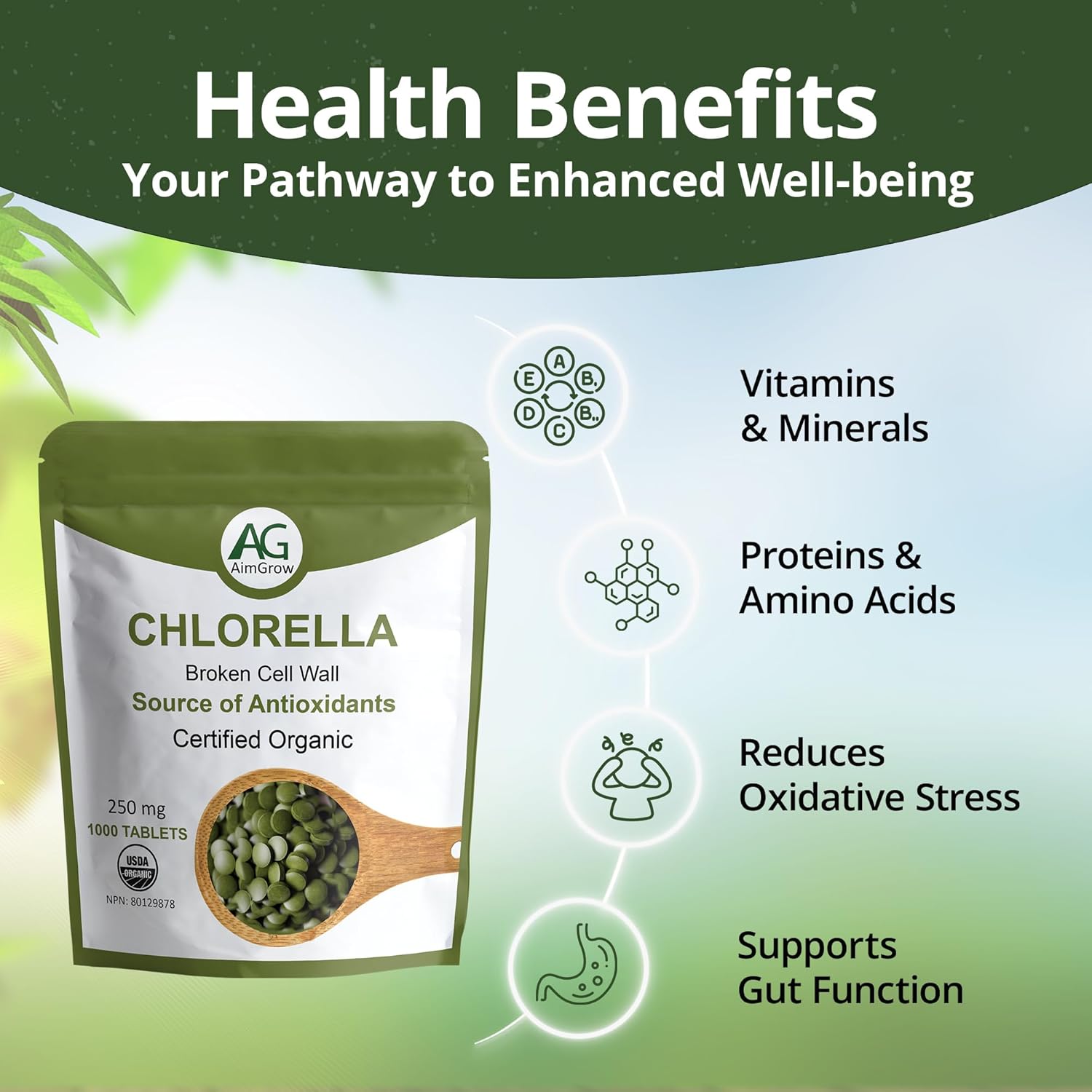 Organic Chlorella Tablets with Broken Cell Wall, 1000 Count, 250mg - Canada Organic