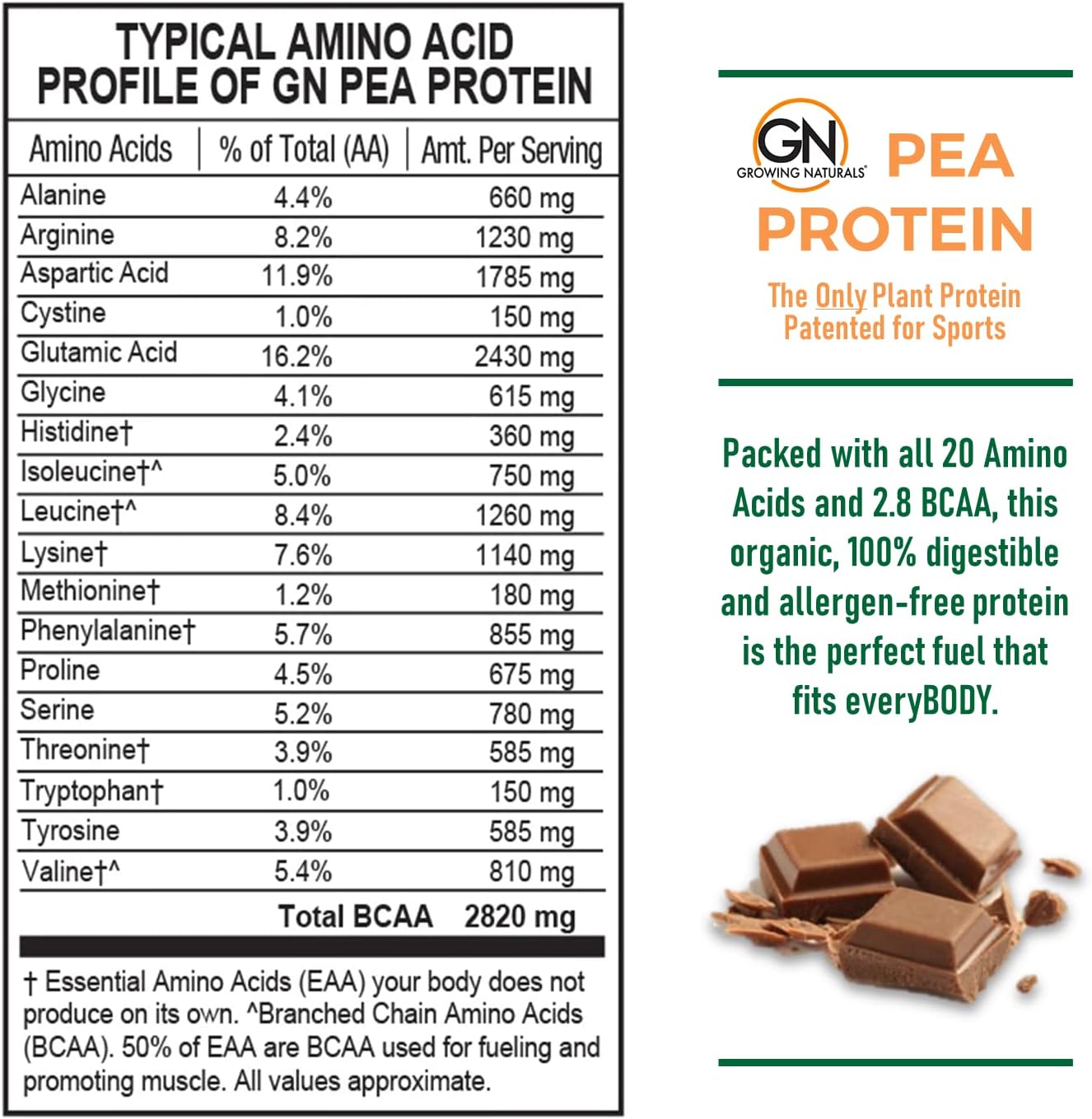 Organic Chocolate Pea Protein Powder - Vegan Plant-Based Protein with BCAAs - 1lb Pack - Low-Carb, Low-Sugar Power
