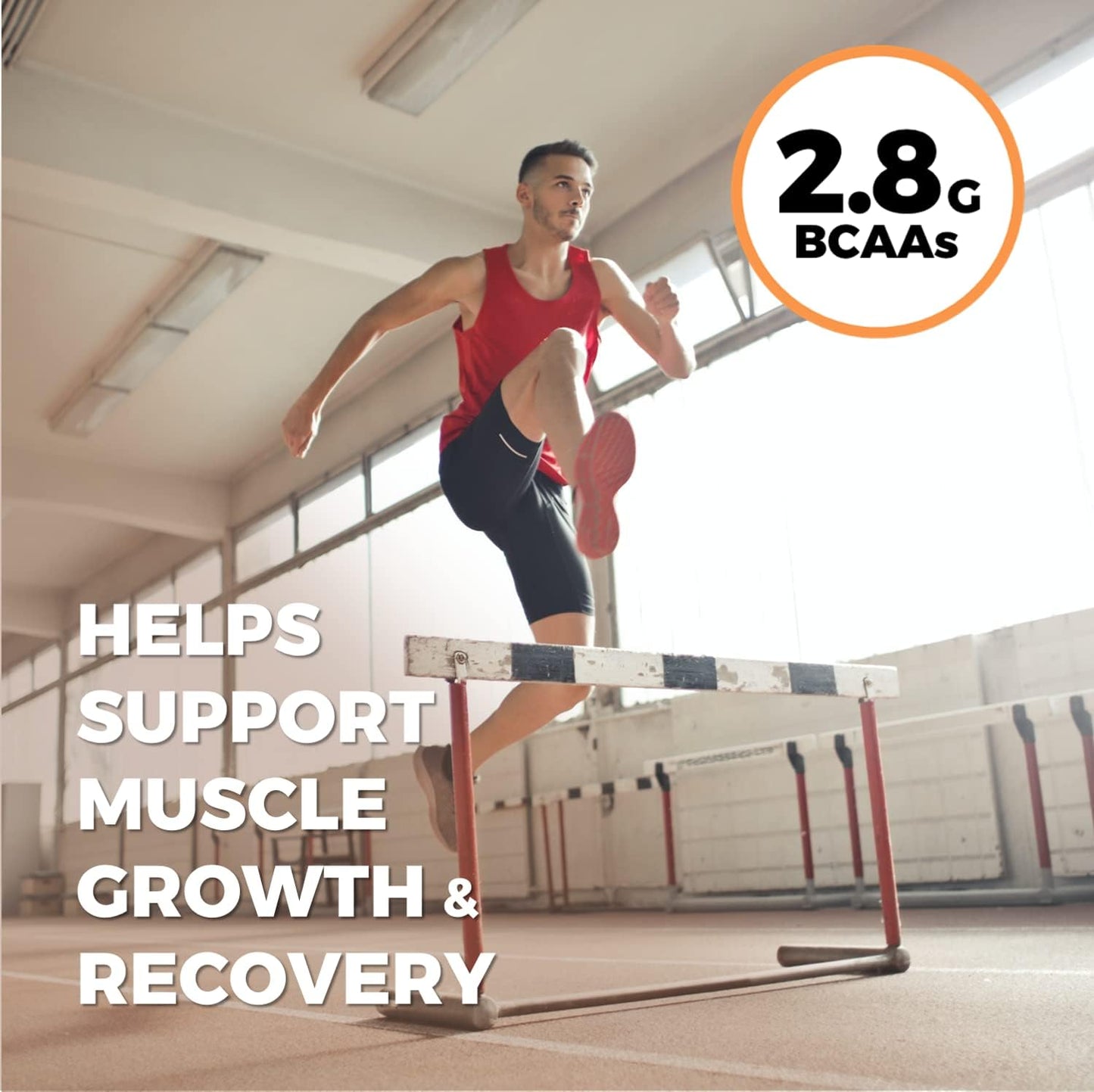 Organic Chocolate Pea Protein Powder - Vegan Plant-Based Protein with BCAAs - 1lb Pack - Low-Carb, Low-Sugar Power