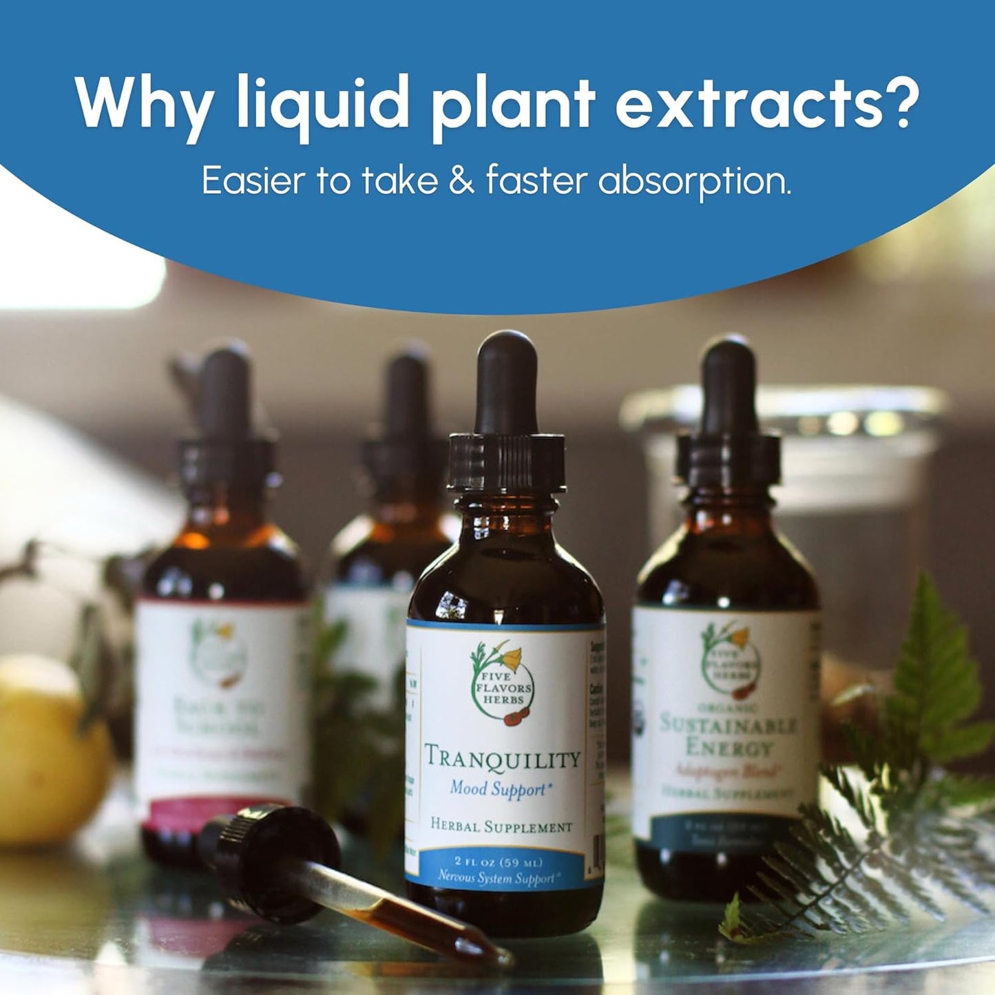 Organic Clarity Tincture with Five Flavors Herbs for Brain and Vascular System Support - 2 Fl Oz Bottle