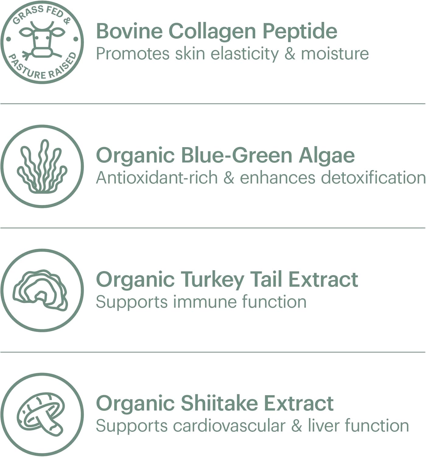 Organic Collagen Superfood Powder with Blue-Green Algae, Mushroom Extracts, and Matcha - Detox & Immunity Support, Allergen-Free & Non-GMO